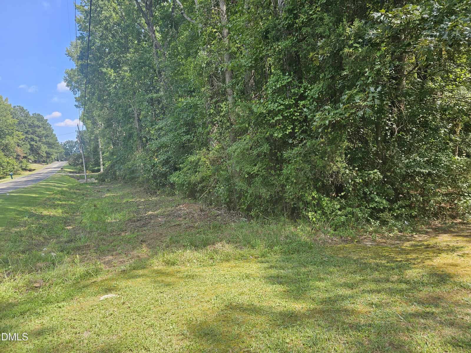 A quiet roadside with a grassy shoulder leads into dense green woods under a clear blue sky. Sunlight filters through the trees, casting patches of light and shadow on the grass.