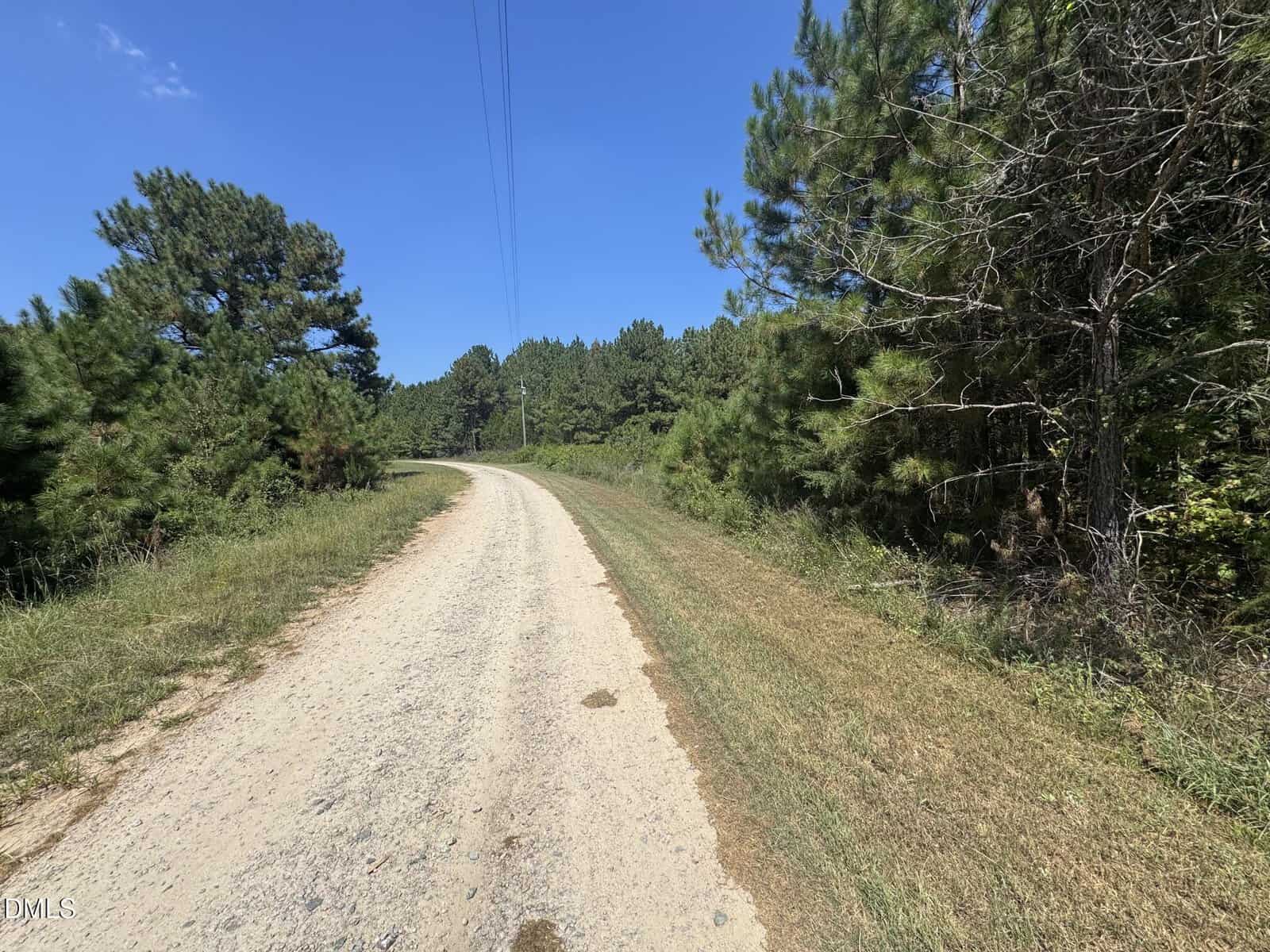 A dirt road curves through a rural, wooded area with tall green pine trees on both sides under a clear blue sky.