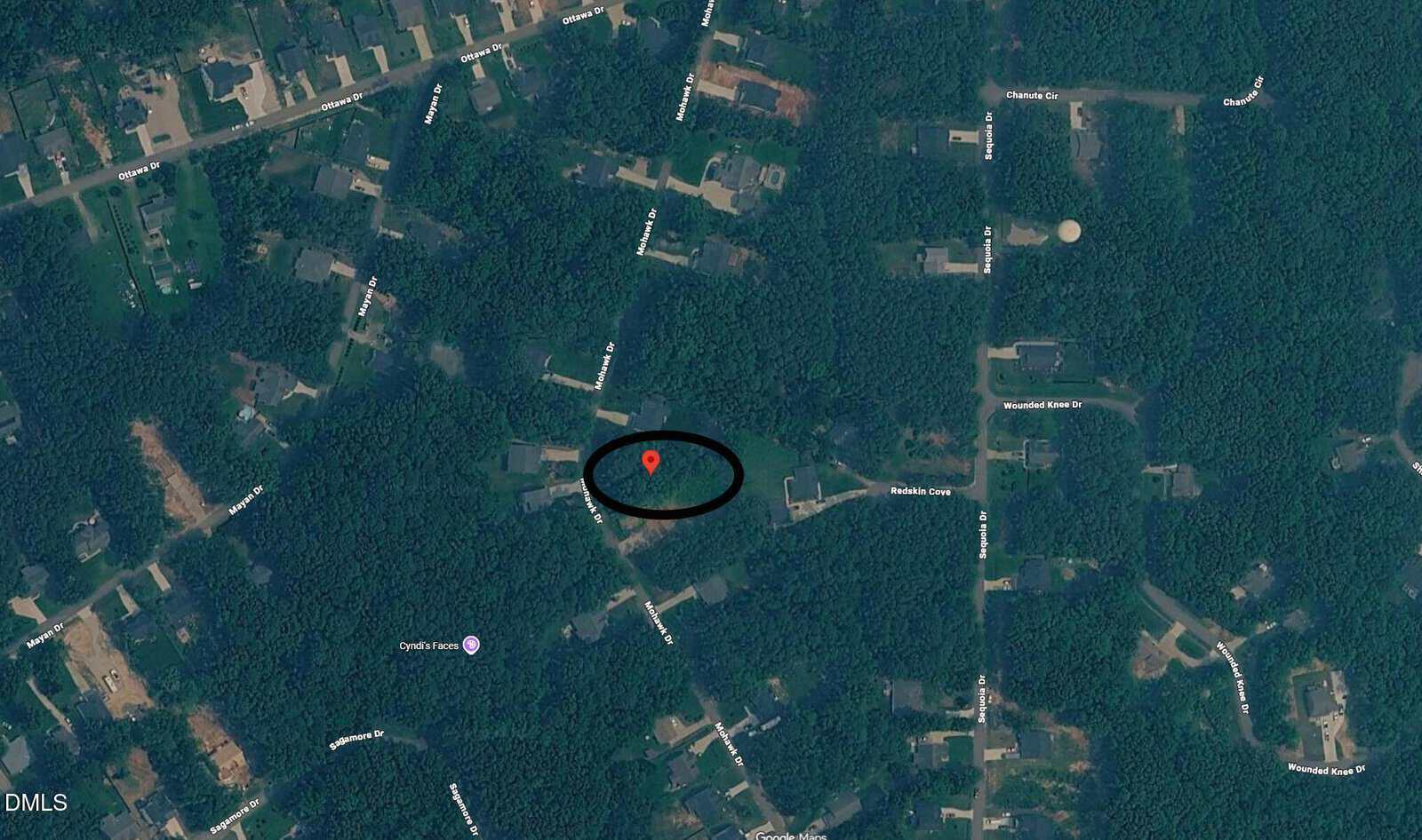 A satellite map shows a wooded suburban neighborhood with roads labeled—such as 128 Mohawk Drive in Louisburg. A red location marker is circled in black in the center, indicating a specific property among trees and nearby houses.