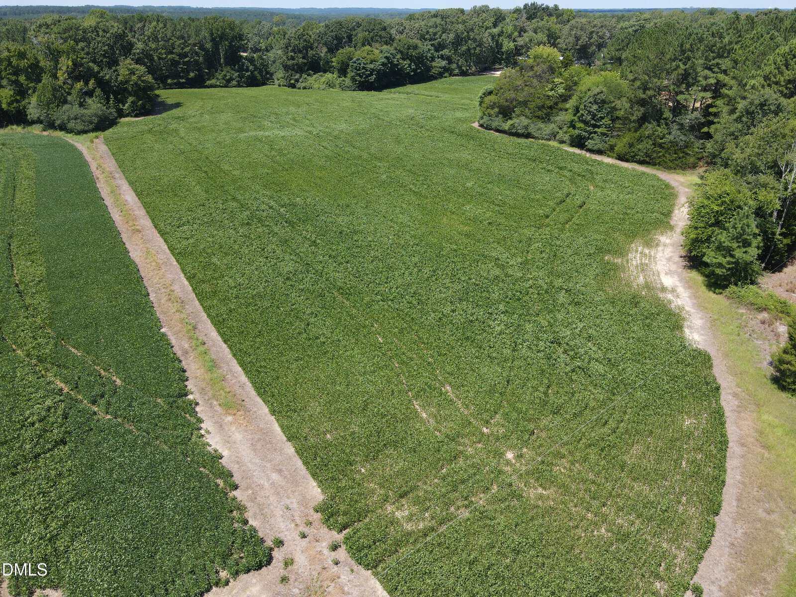 Aerial view of a large green field bordered by trees, with dirt paths cutting through and around the field under a clear sky.