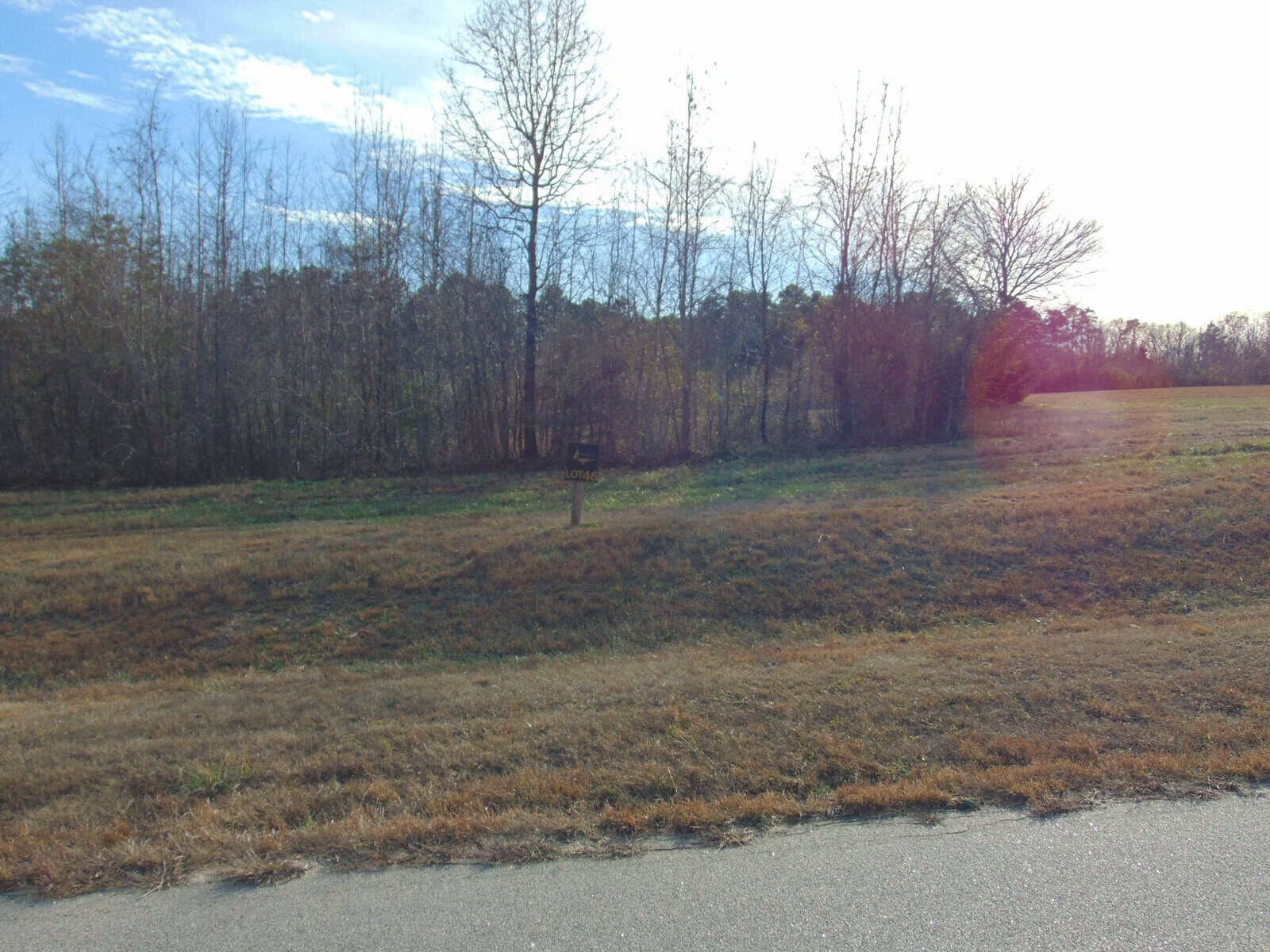 A solitary wooden bench placed near the treeline of a grassy field, with the sun casting a bright glare in the clear sky.