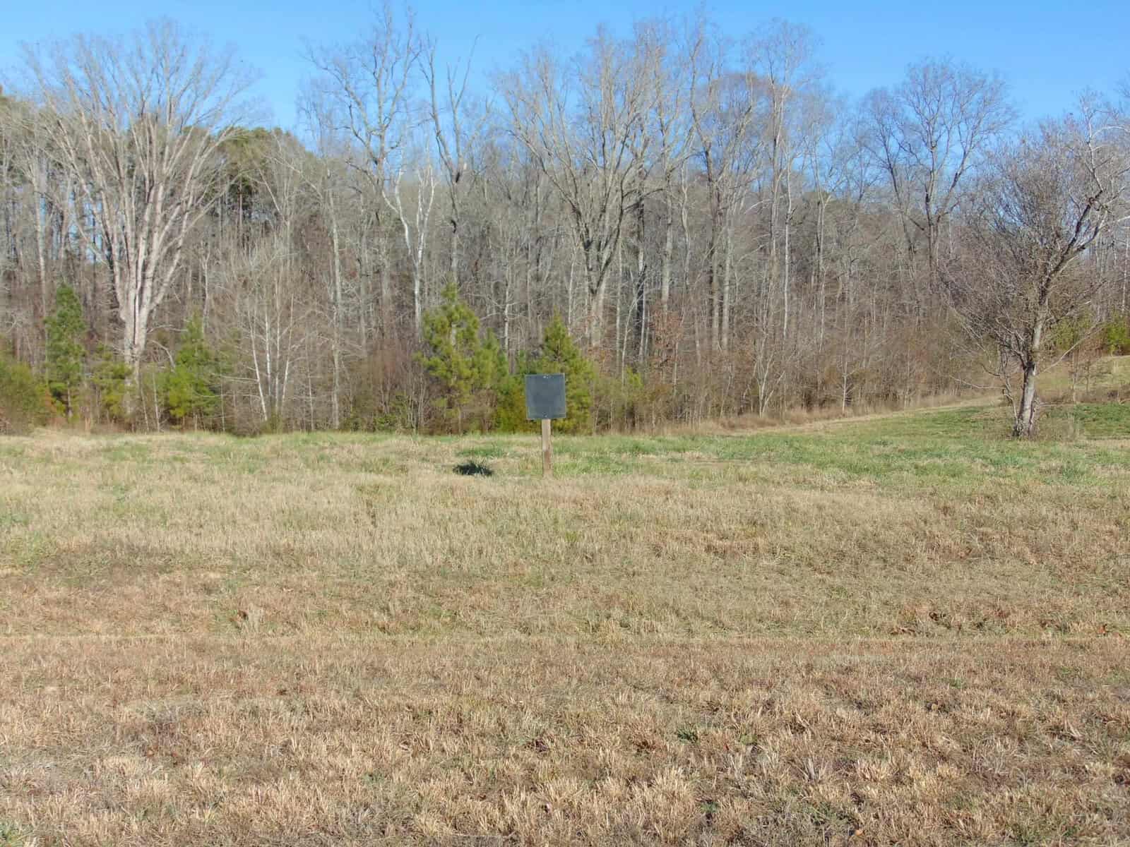 A clearing with dry grass in the foreground, a solitary blue sign in the center, and leafless trees in the background under a clear blue sky.