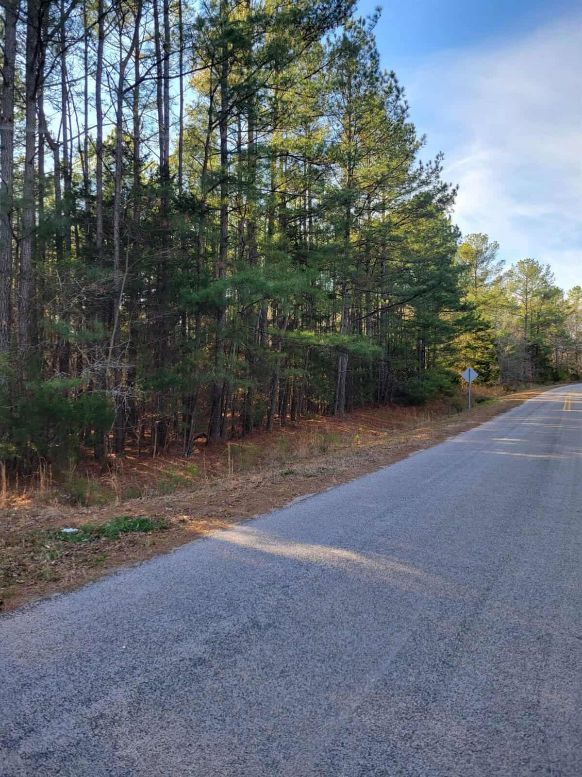 An asphalt road leading through a forested area with tall pine trees and a clear blue sky above. there is a road sign visible on the right side of the road.