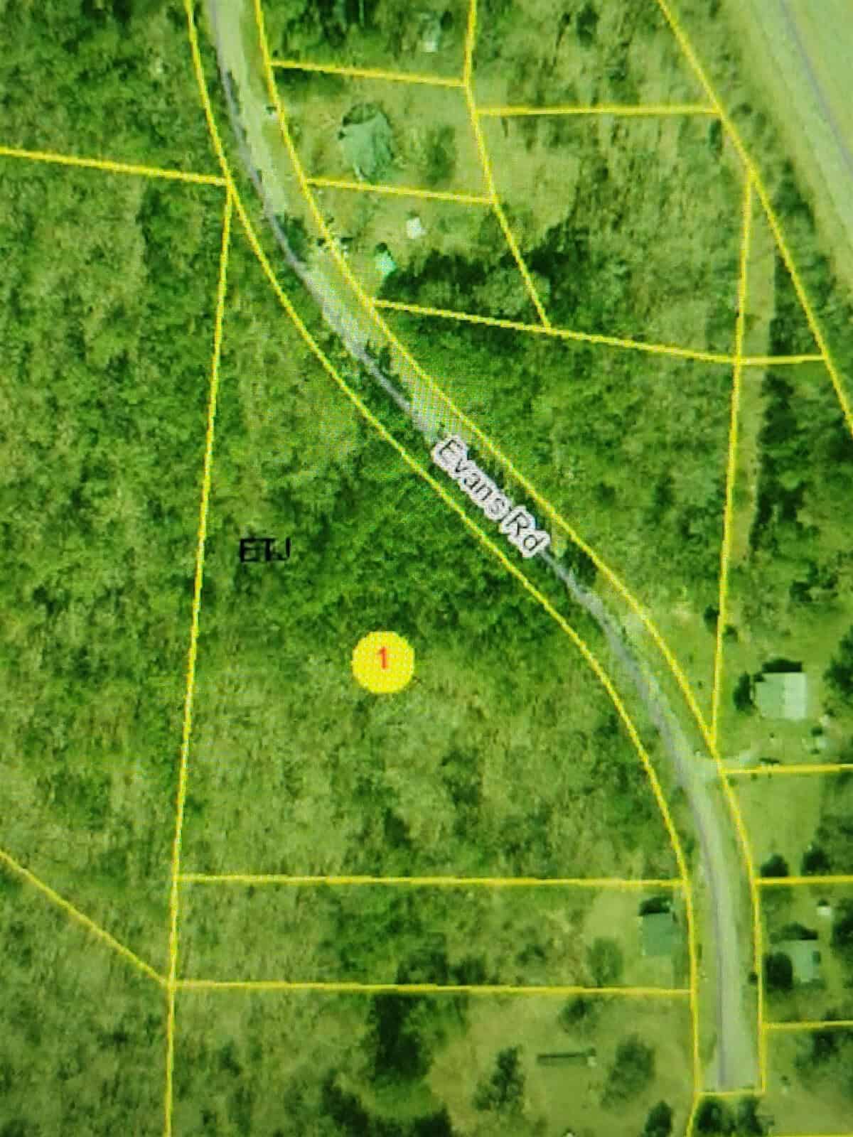 Aerial view of a parcel of land with marked boundaries and a plot number label, adjacent to a road named "equine rd.