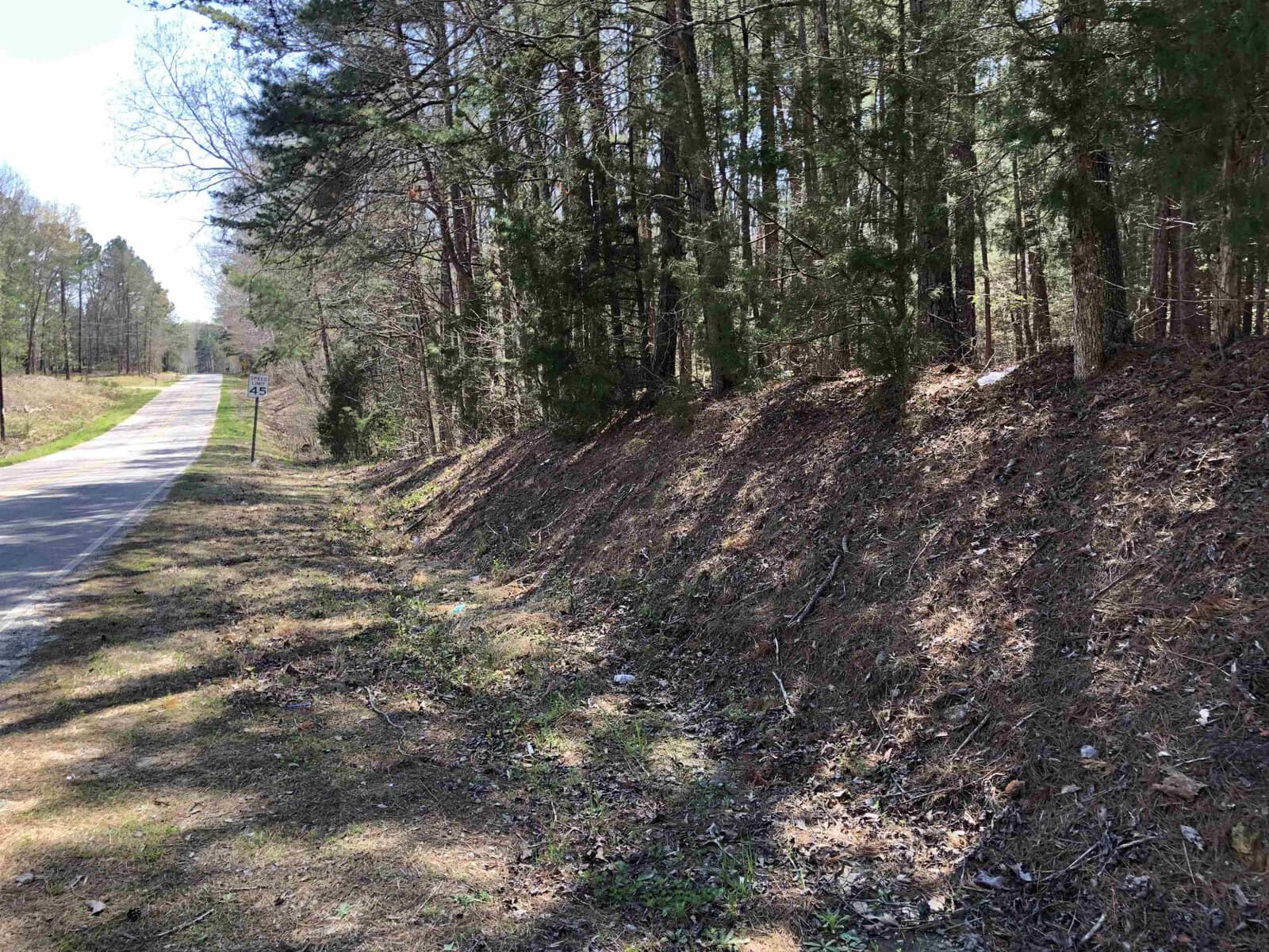 A country road lined with evergreen trees and a sloping, grassy embankment under a clear blue sky at 01 Island Creek Estate Road, Henderson NC.