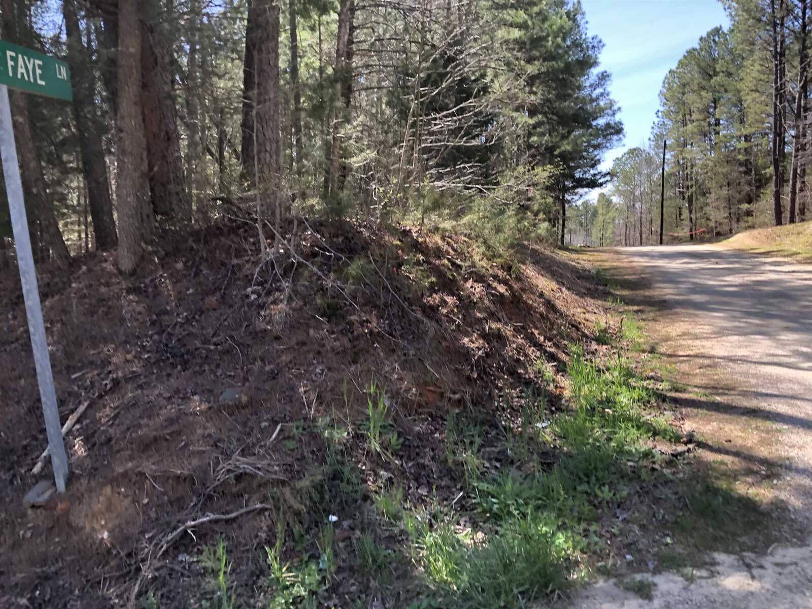 A roadside embankment covered with pine needles and sparse vegetation, flanked by trees and a street sign reading "faye ln," on a sunny day.