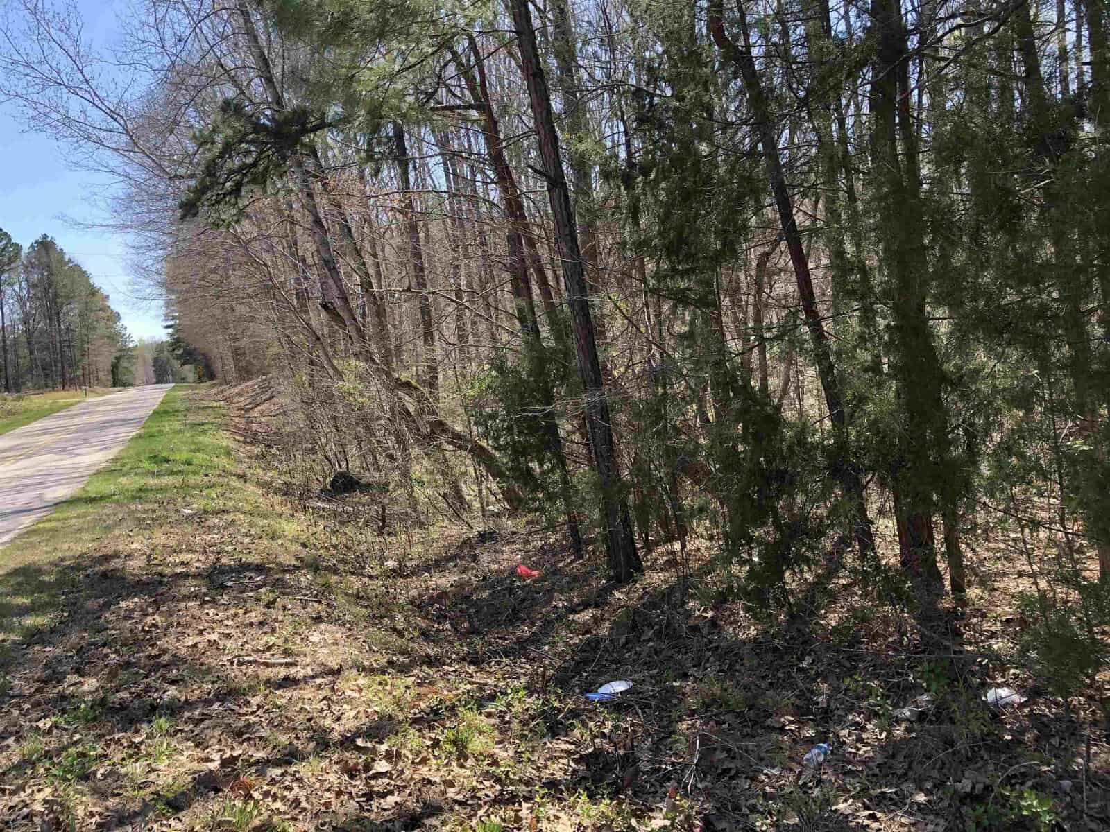 A rural roadside with litter scattered among the grass and underbrush on a sunny day.