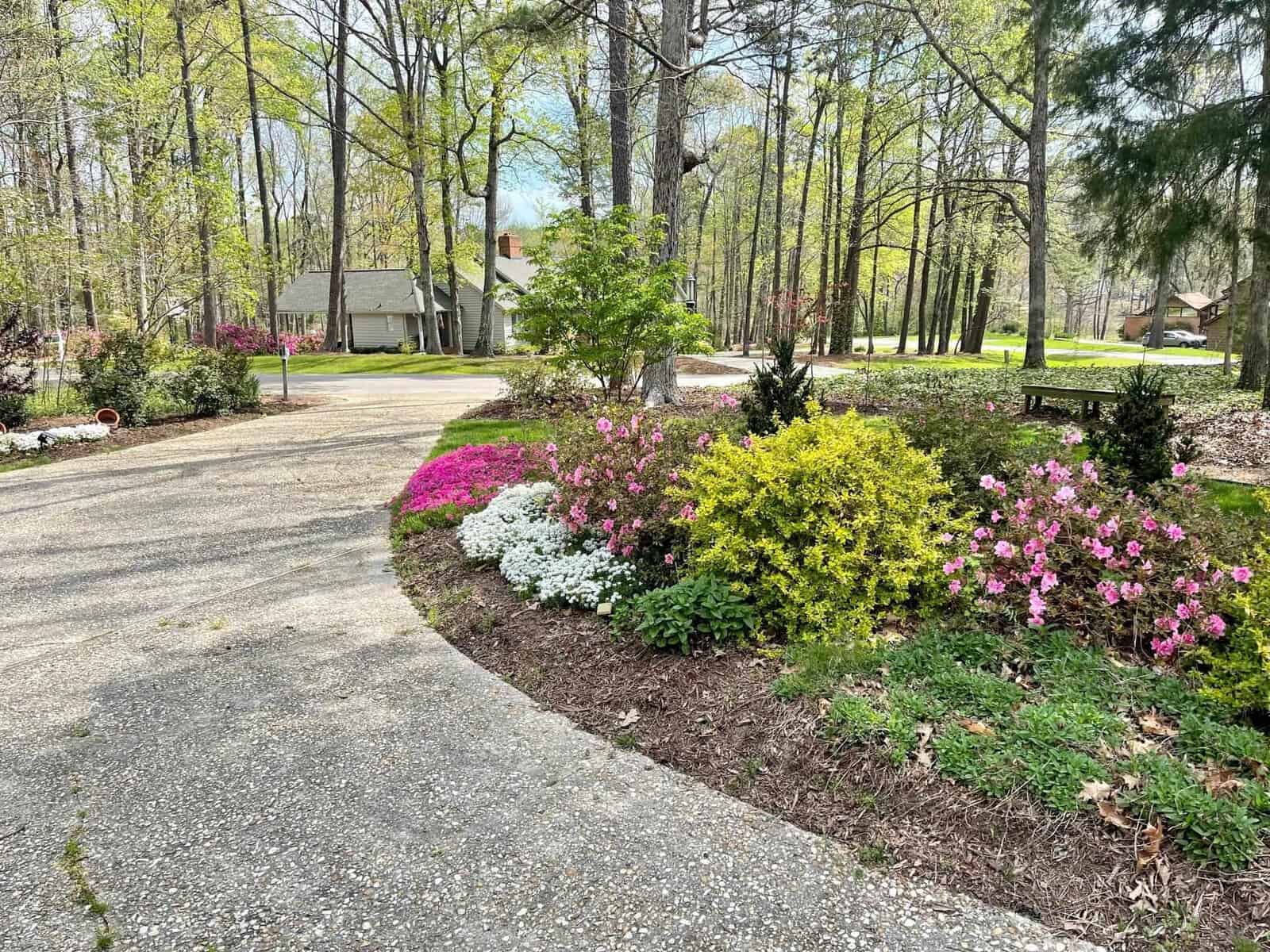 A neatly maintained garden by a gravel driveway with a variety of colorful flowering plants, surrounded by trees with a house in the background.