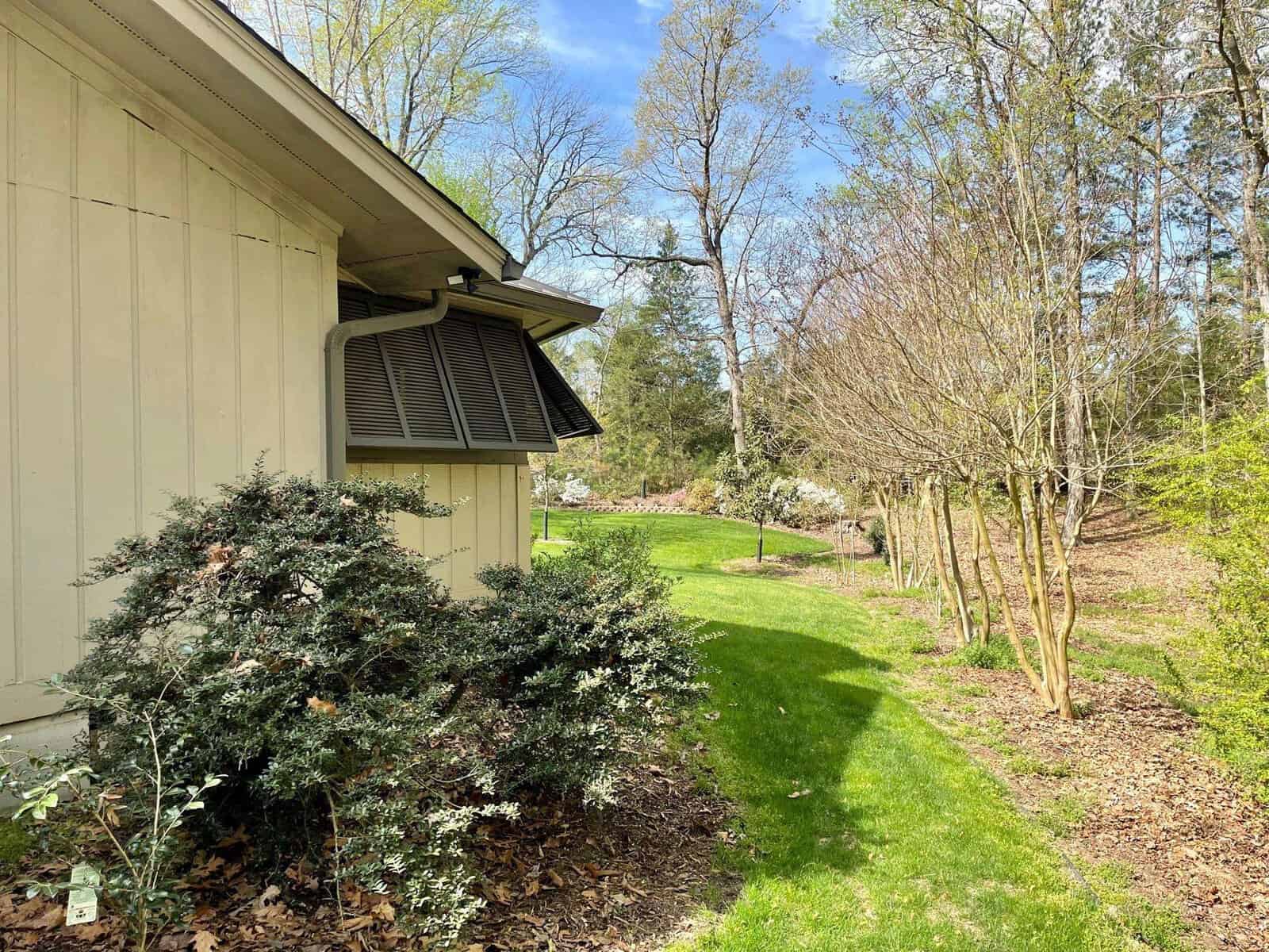 A sunlit garden alongside a building with an overhanging roof, featuring bushes with white flowers, a neatly trimmed lawn, and trees in the background.