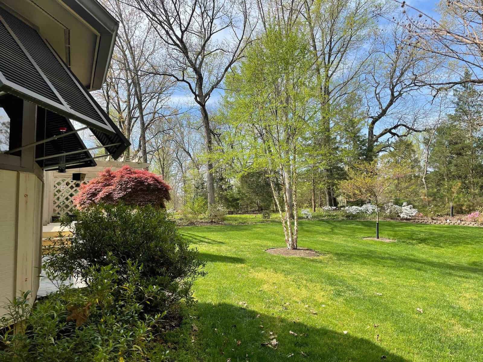 A well-manicured lawn adjacent to a house, featuring a variety of trees with spring foliage under a clear blue sky.
