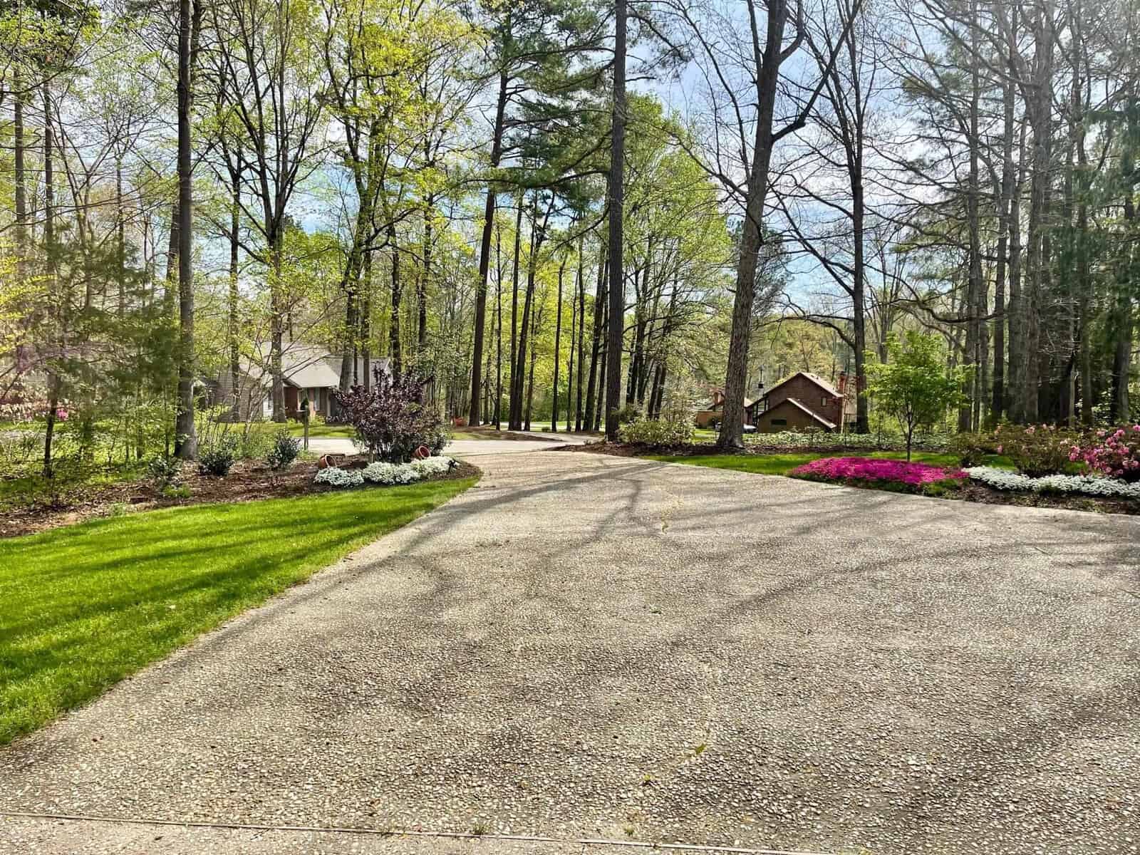 A tree-lined driveway leads to a residential area with well-maintained lawns and flowering shrubs on a bright day.
