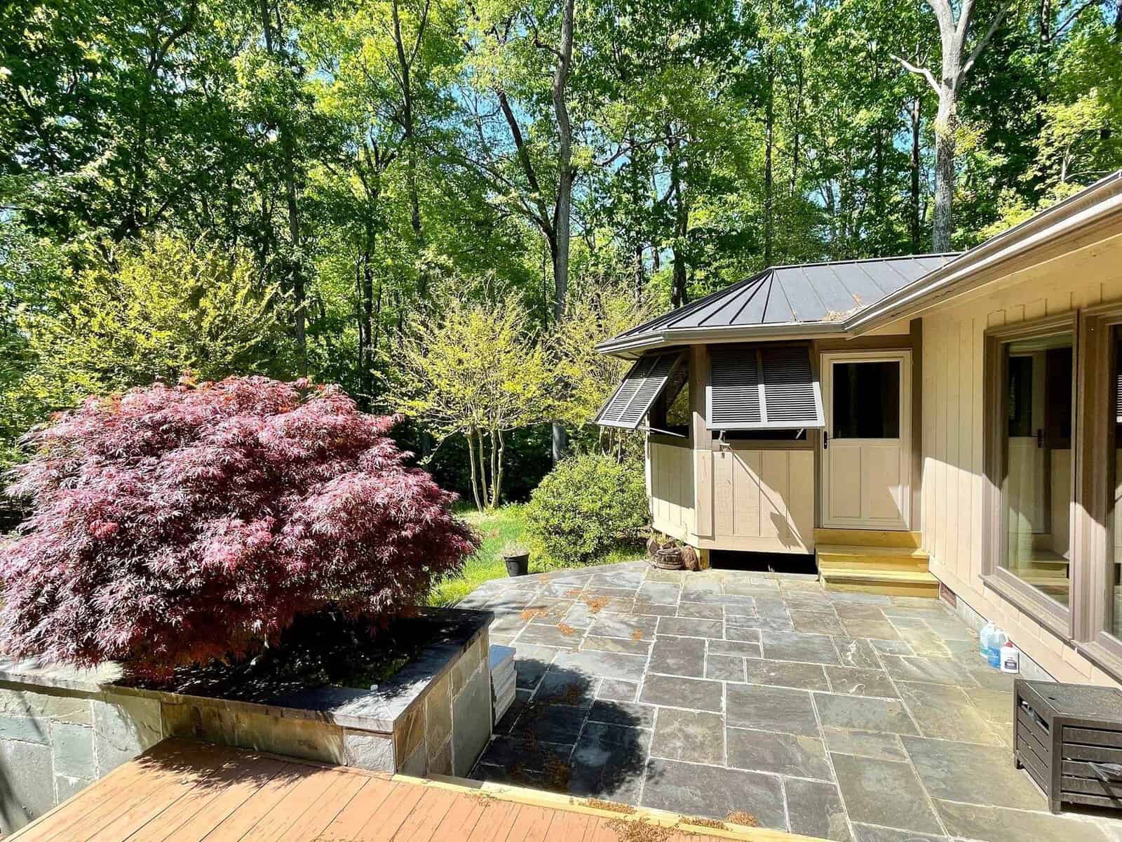 A sunny view of a backyard featuring a stone patio, with a red japanese maple tree on the left and a section of a house with a porch in the background, surrounded by lush greenery.