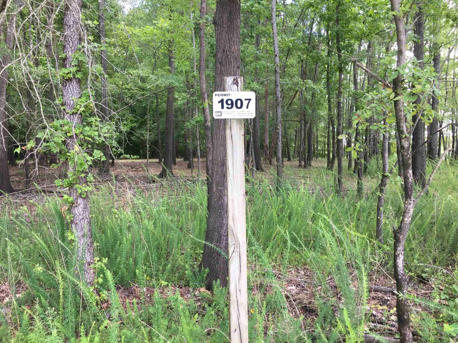 Wooden post with the number 1907 attached to it, standing amidst tall grass and trees in a forested area.