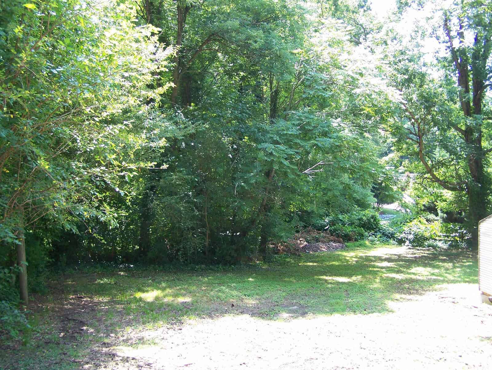 A sunlit backyard with a grassy lawn bordered by tall, leafy trees. Shadows from the trees cover part of the ground, and a small shed is visible on the right side.
