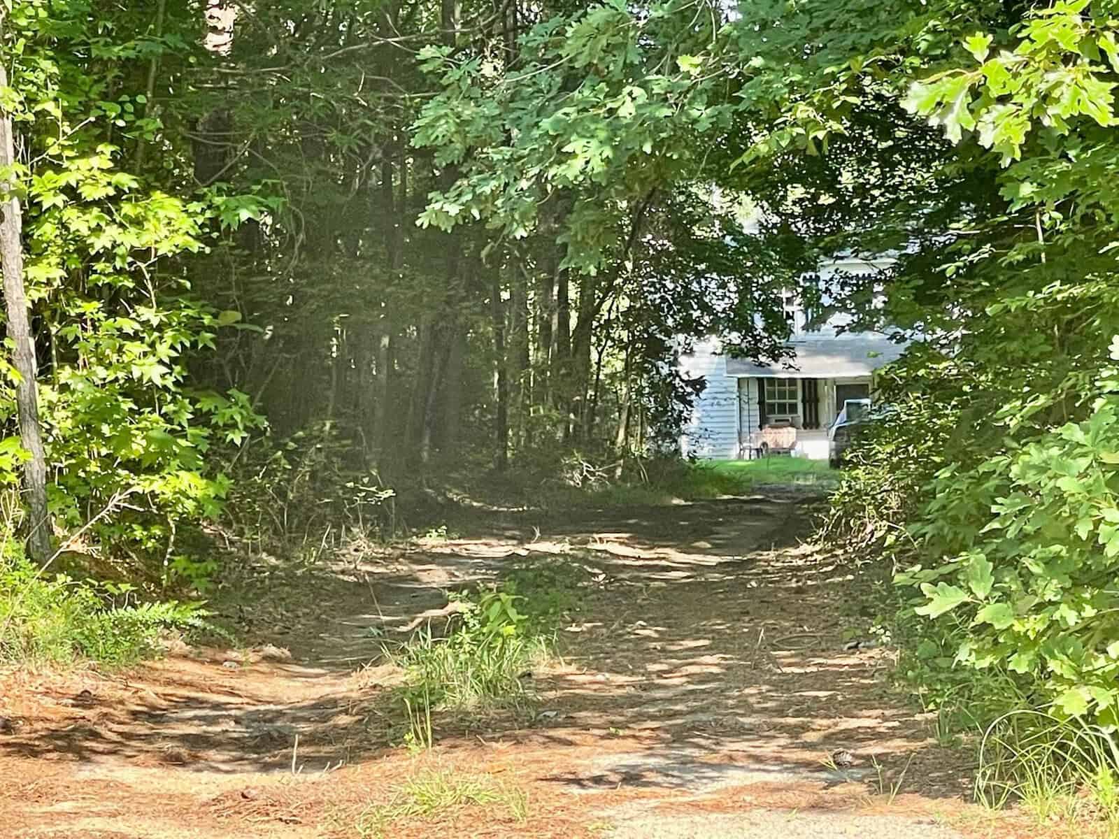 A small blue house at the end of a dirt path surrounded by lush green trees.