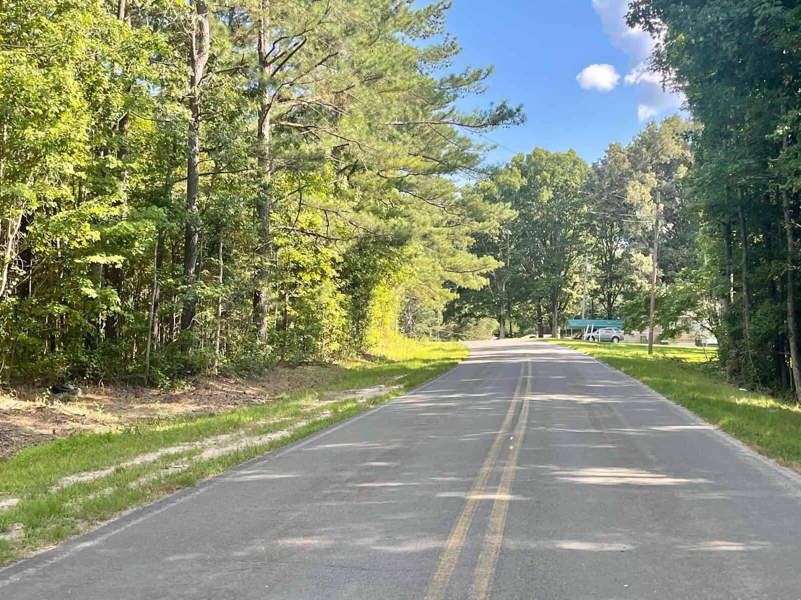 A two-lane road surrounded by lush green trees under a clear blue sky.