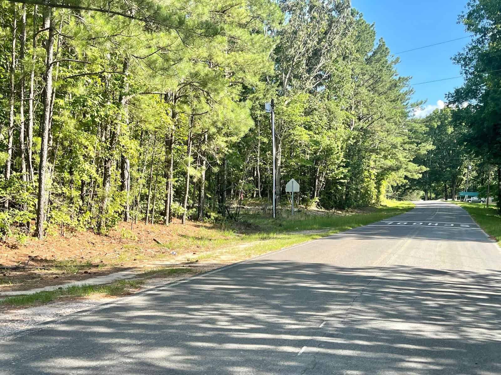 A sunny day on a quiet asphalt road flanked by lush green trees with a stop sign on the right side.