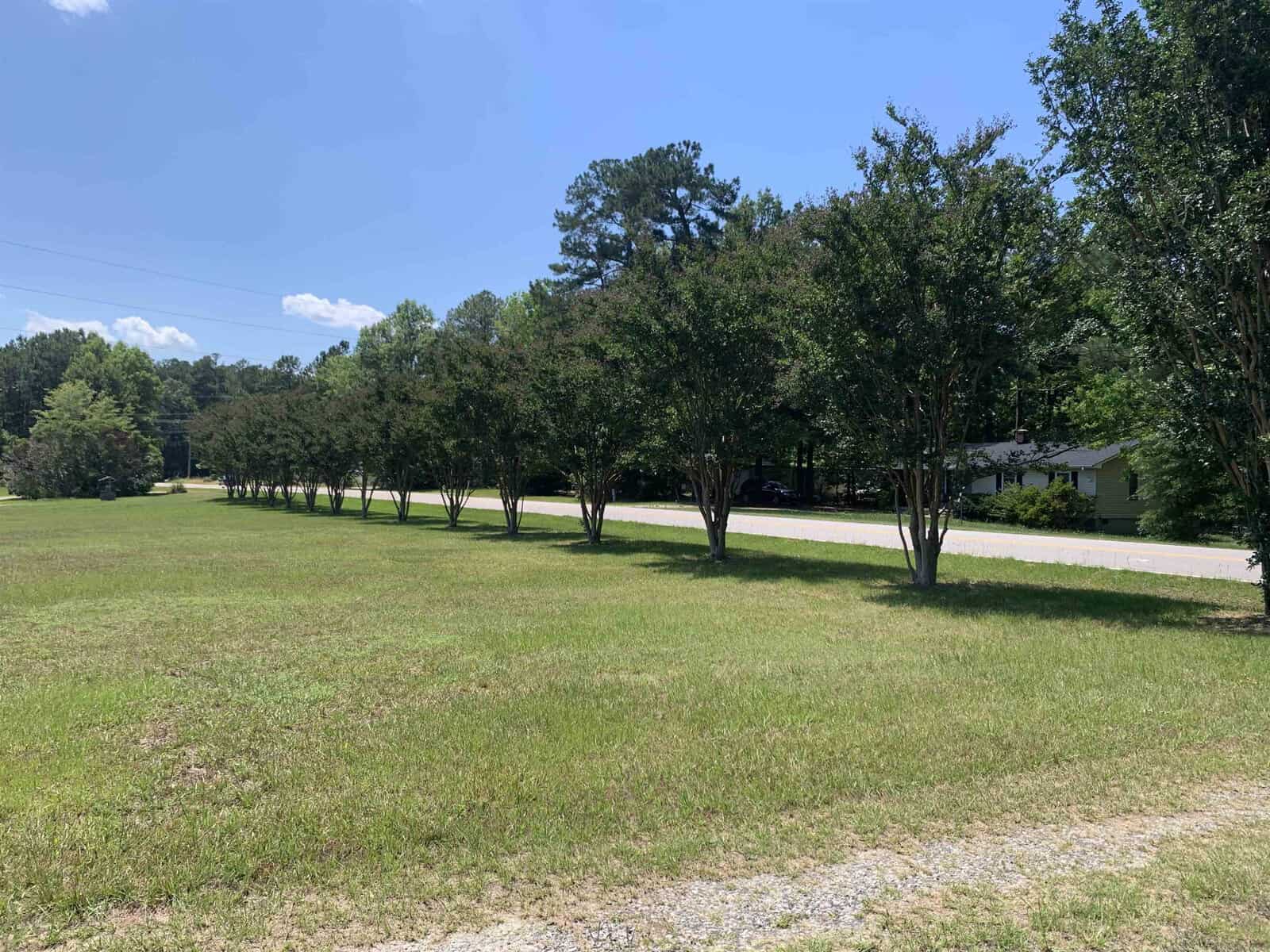 A row of trees lines a gravel path beside a grassy field. In the background, a paved road runs alongside a dense forest under a clear blue sky. A few small buildings are partially visible through the trees.