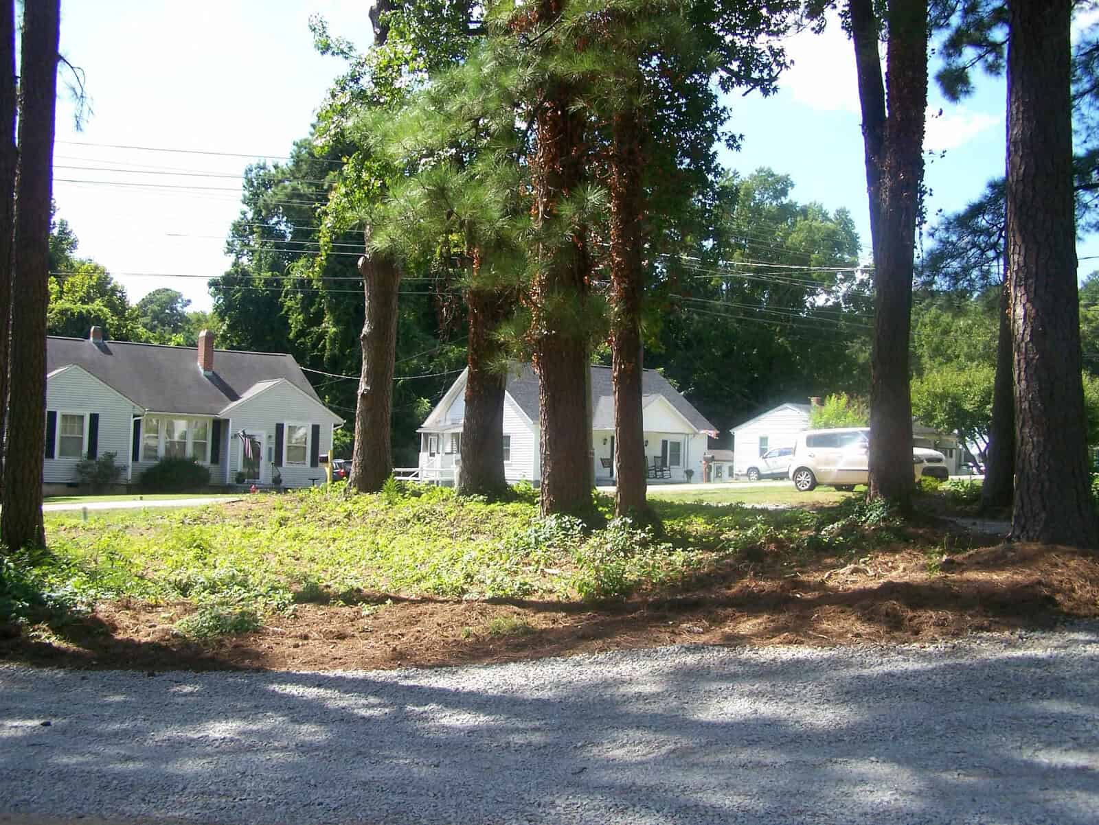 A suburban street with trees and two houses visible, one white and one gray, under a clear sky with visible utility lines. there's a gravel area in the foreground with some patches of grass, suggesting a residential area with modest landscaping.