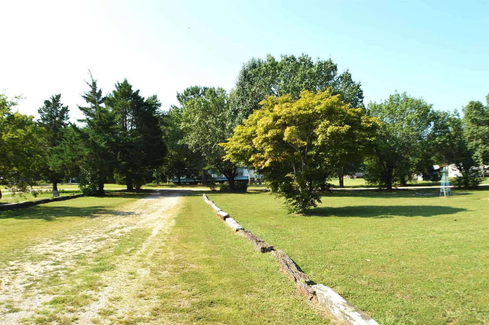 A path of worn grass cuts through a park with a variety of trees under a clear blue sky.