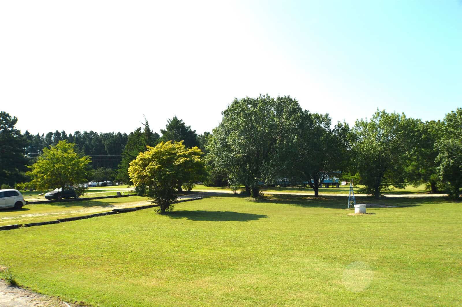A sunny day at a park with lush green grass, a variety of trees, and a few cars parked in the distance.
