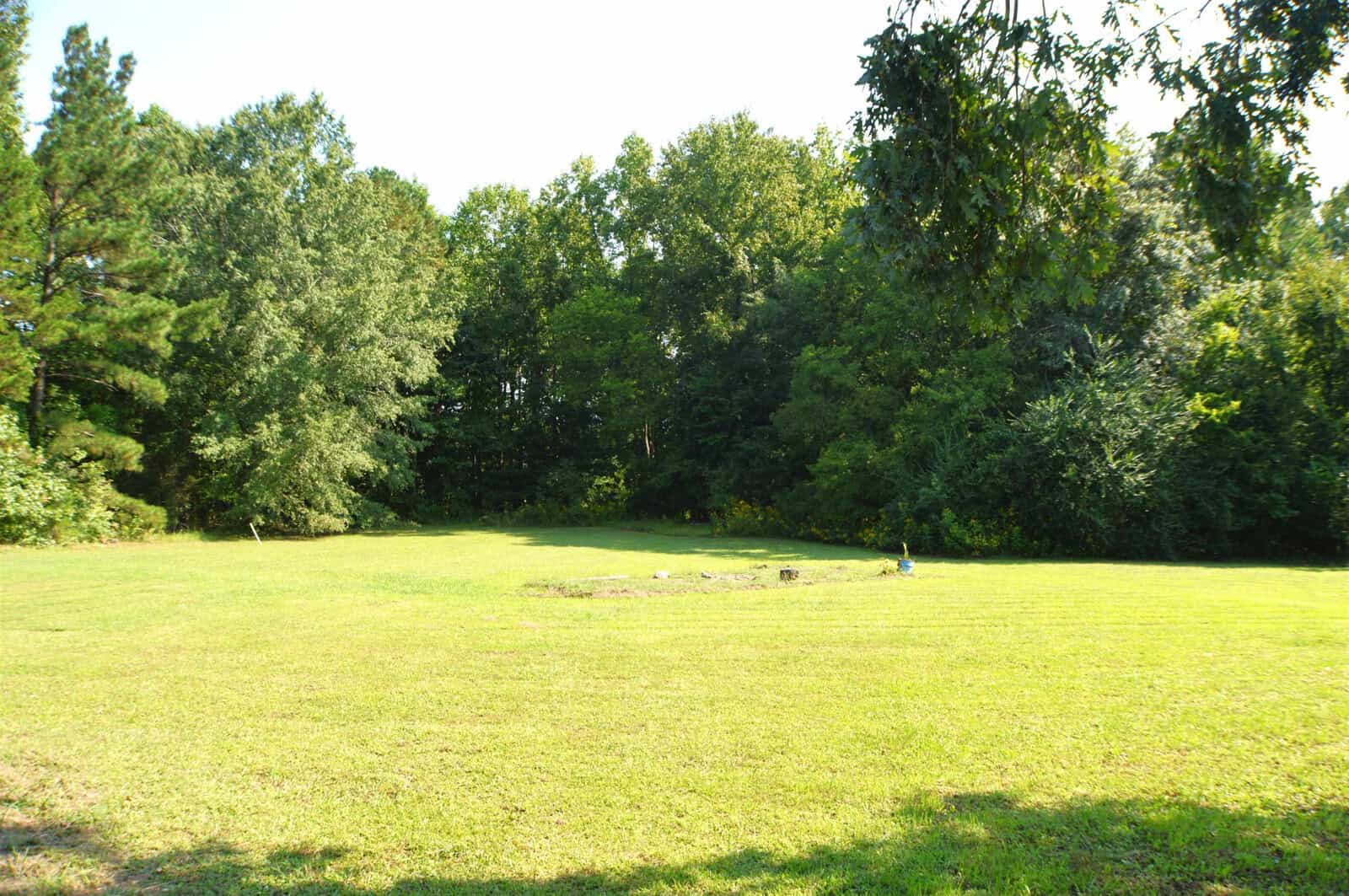 A sunny day at a lush, green park with a grassy clearing surrounded by trees and a fire pit area in the distance.