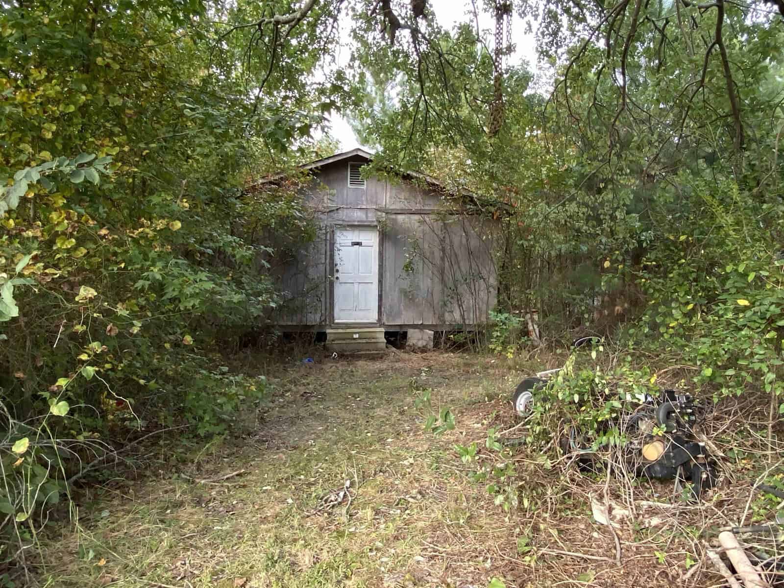 An overgrown yard with a wooden shed surrounded by trees and bushes, featuring a discarded tire in the foreground.