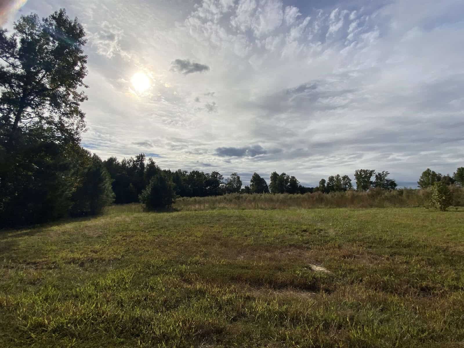 A serene landscape featuring a sunny sky with scattered clouds above a grassy field with clusters of trees on the horizon.