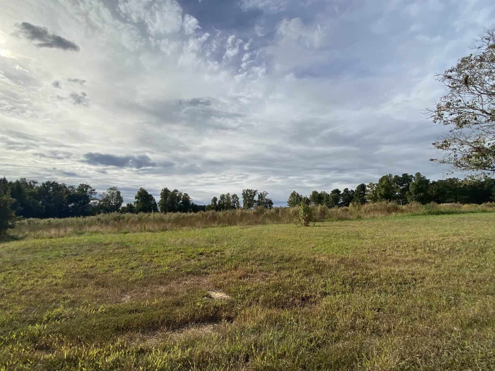 A tranquil rural landscape showcasing an open grassy field with sparse vegetation under a partly cloudy sky.