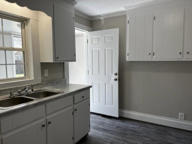 A newly renovated kitchen with gray cabinets, stainless steel sink, and wood-like flooring.