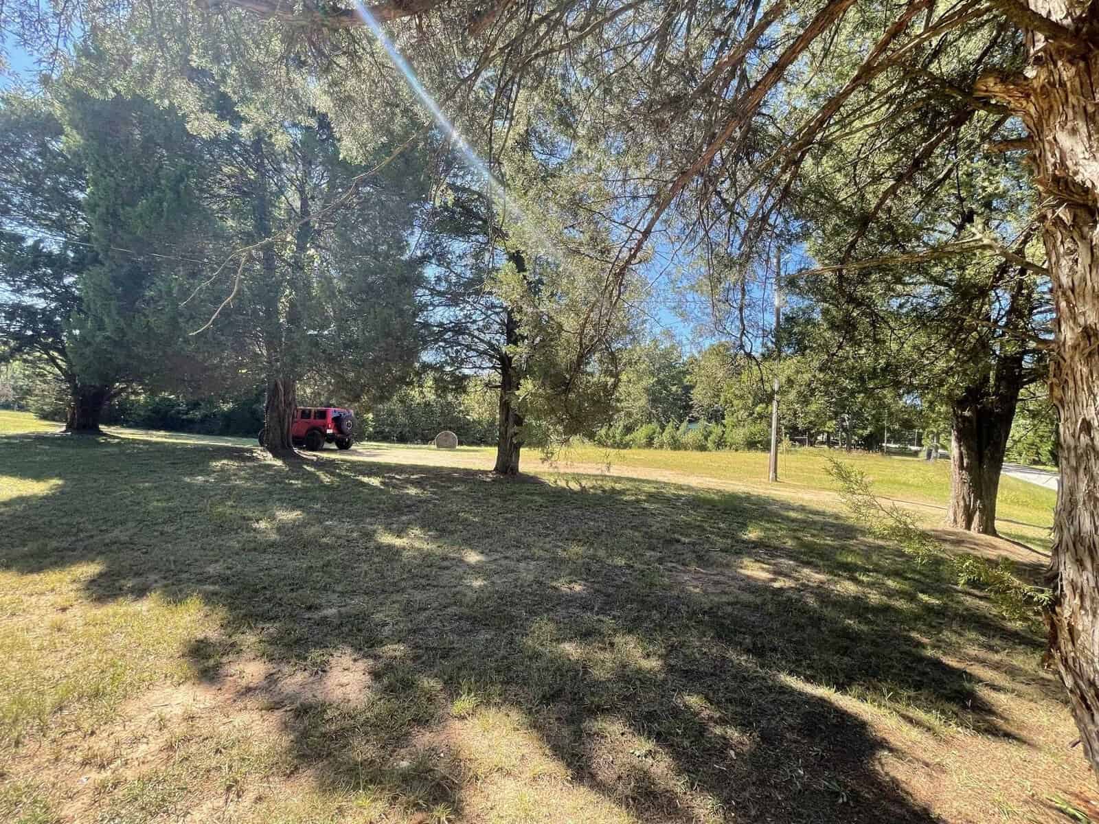 A red car parked under the shade of trees in a grassy area with sunlight streaming through the foliage.