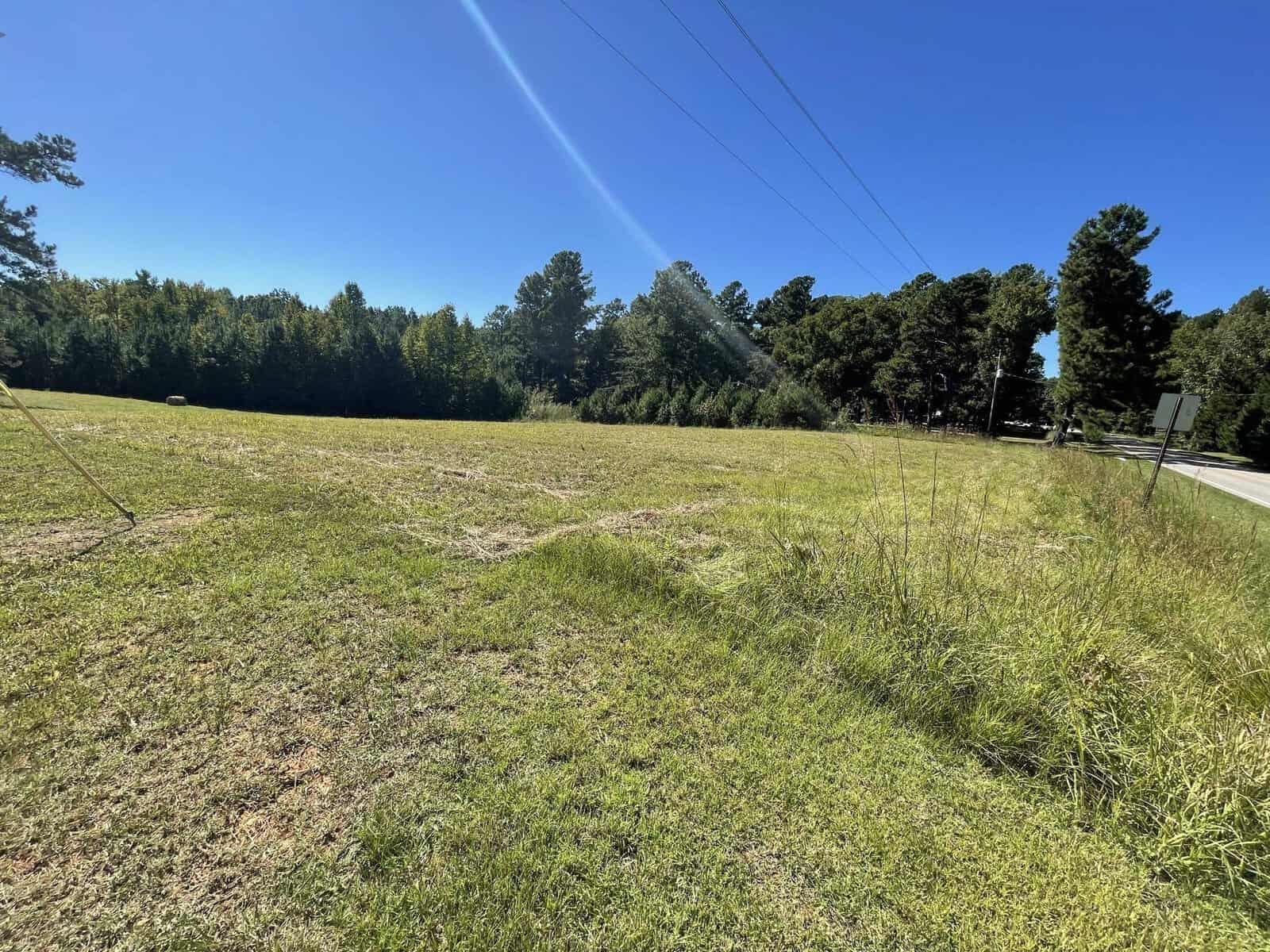 A sunny day over a grassy field with scattered trees and a clear blue sky, with a power line diagonally crossing the view and a road visible to the right.