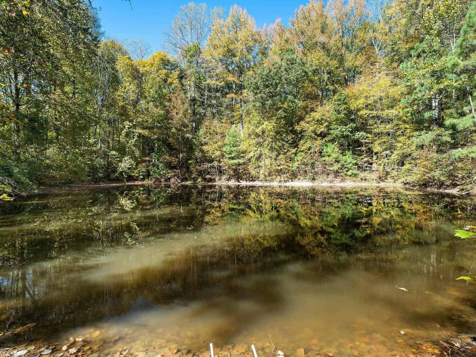 A calm pond surrounded by dense forest with trees displaying early autumn colors. The clear blue sky is reflected in the water, and the shore is lined with vegetation and scattered rocks. Sunlight filters through the trees, creating a serene and picturesque scene.