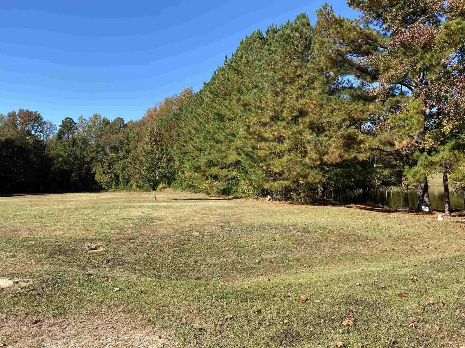 A serene grassy field bordered by a line of trees under a clear blue sky.