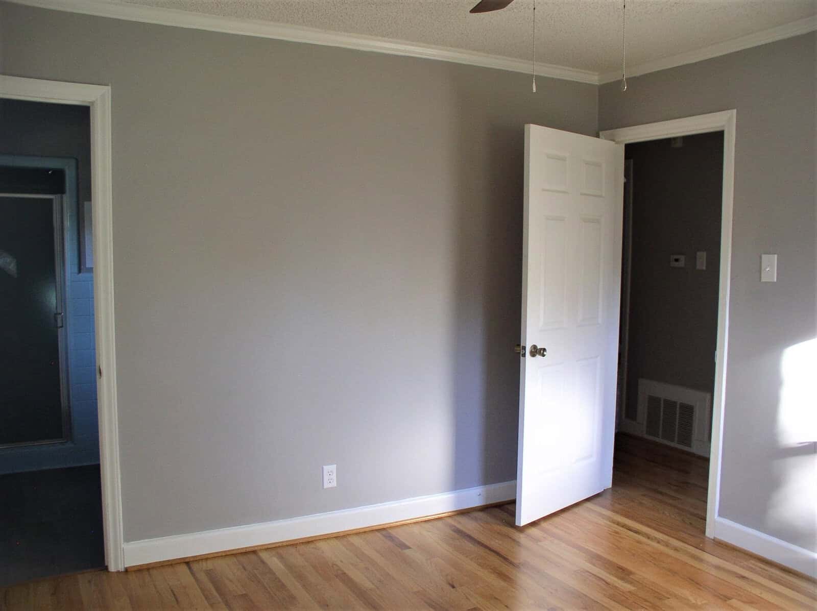 A vacant room with gray walls, white trim, a closed white door, and hardwood flooring.