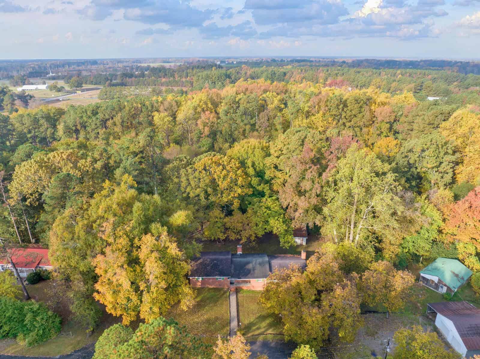 Aerial view of a forest with autumn foliage surrounding buildings with red roofs.