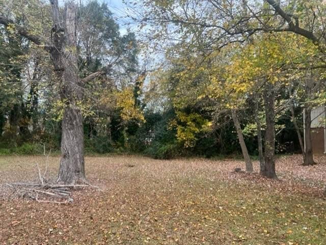 A leaf-strewn yard with various trees, some bearing autumnal foliage, and a brush pile on the ground.
