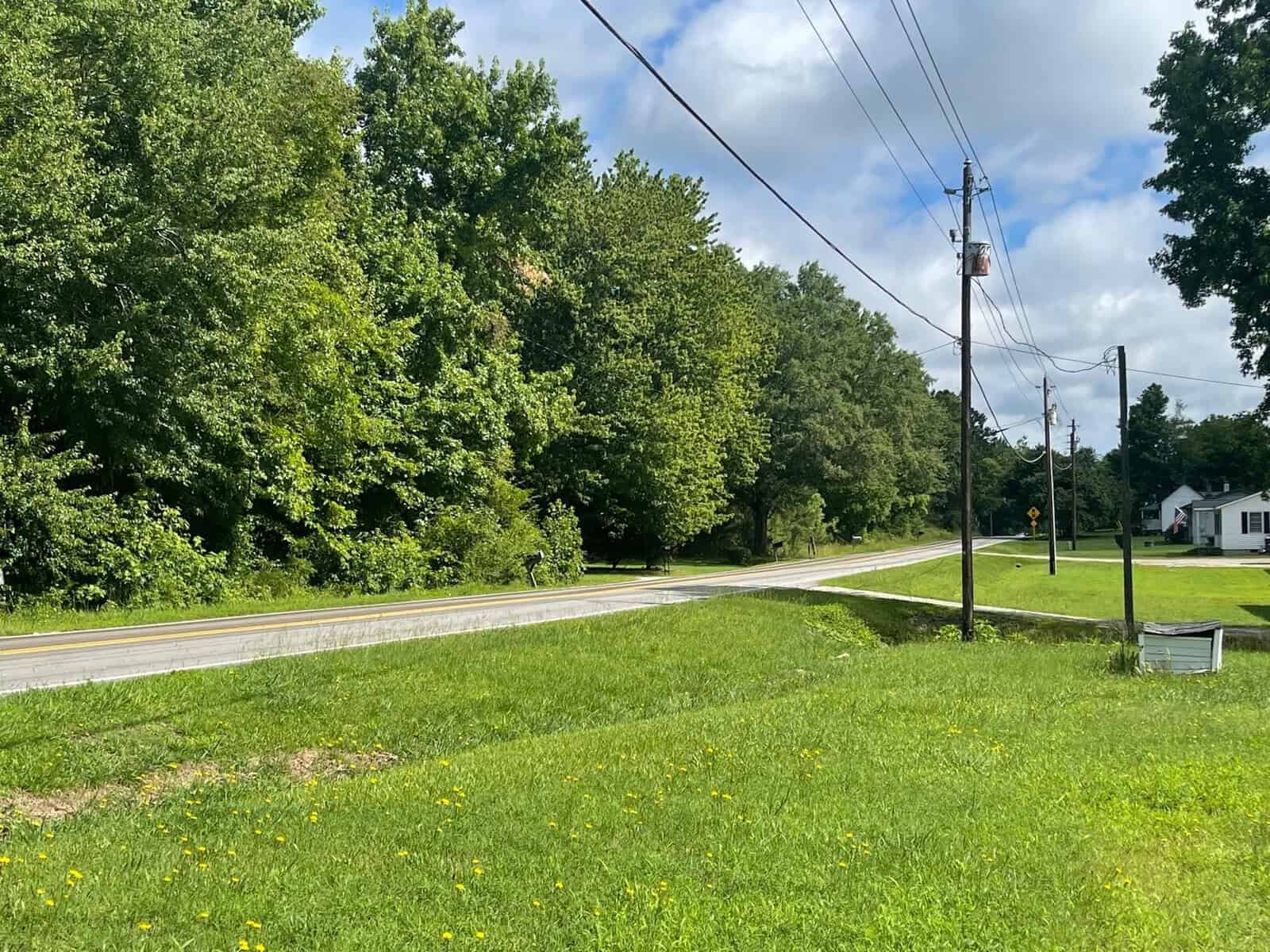 A quiet road curves gently past a lush green grassy area with scattered wildflowers, bordered by dense trees under a partly cloudy sky. power lines run alongside the road.