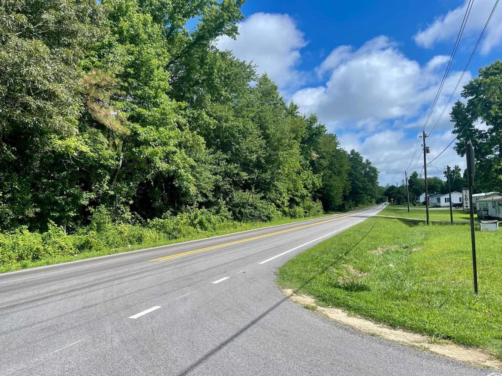 A quiet, curved road lined with lush green trees under a clear sky. there's a power line along the roadside and a few trailers visible in the distance.