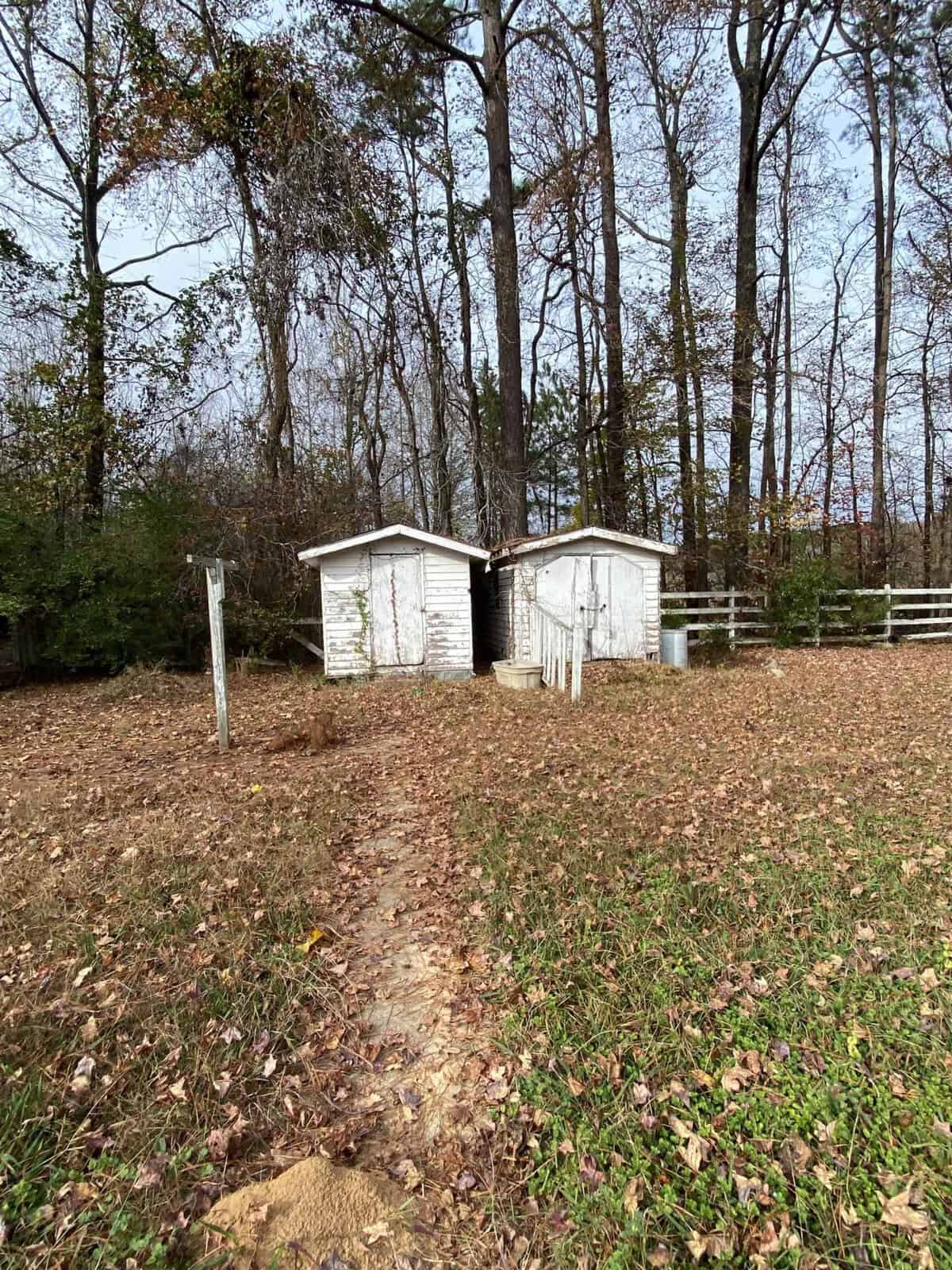 Two small white outbuildings surrounded by a fence with a leaf-covered path leading up to them, set against a backdrop of trees with sparse foliage.
