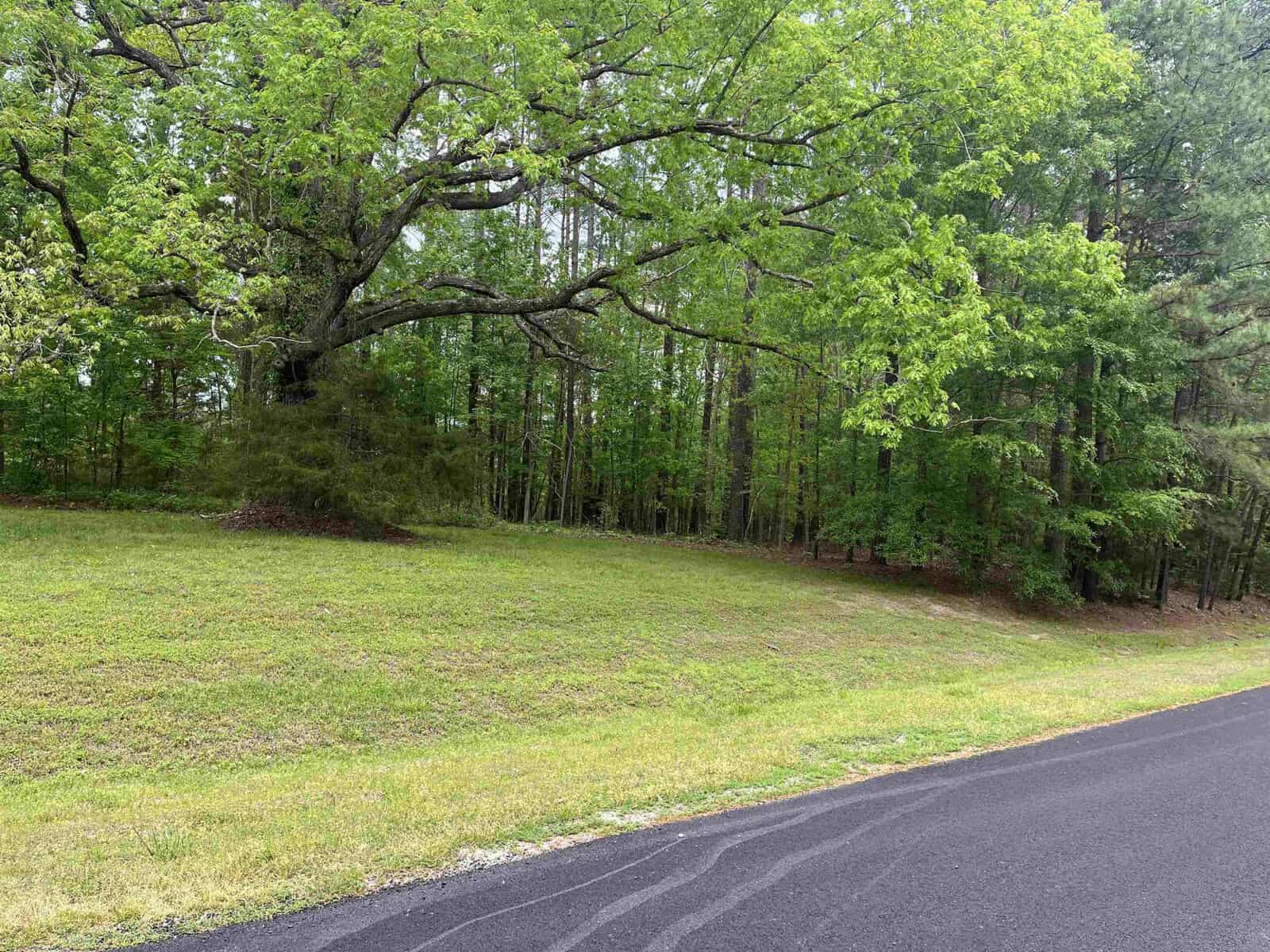 A roadside view featuring fresh green grass and a variety of trees in a wooded area, with overcast skies above.