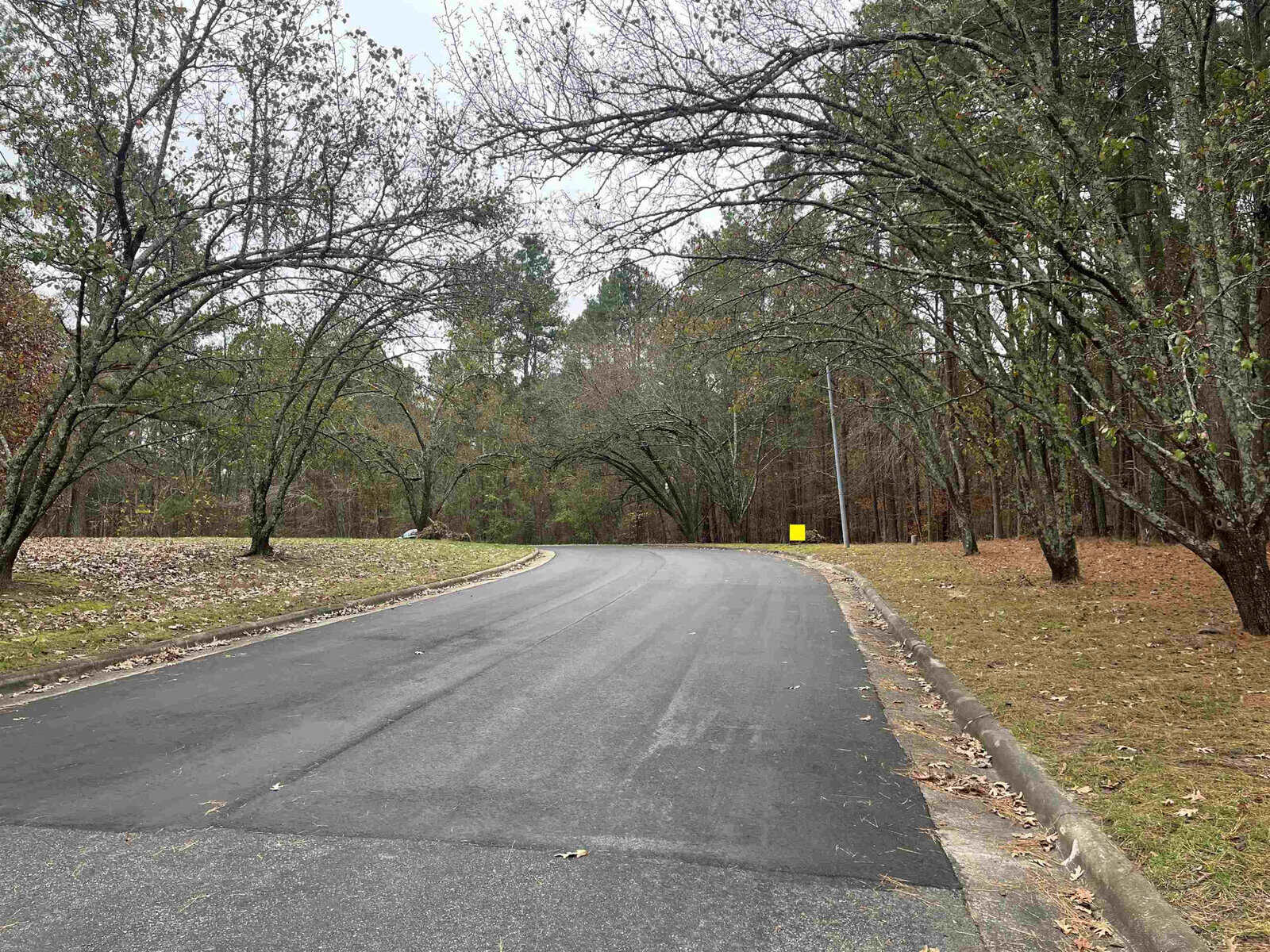 A curved asphalt road lined with trees and a grassy area on the side on an overcast day.