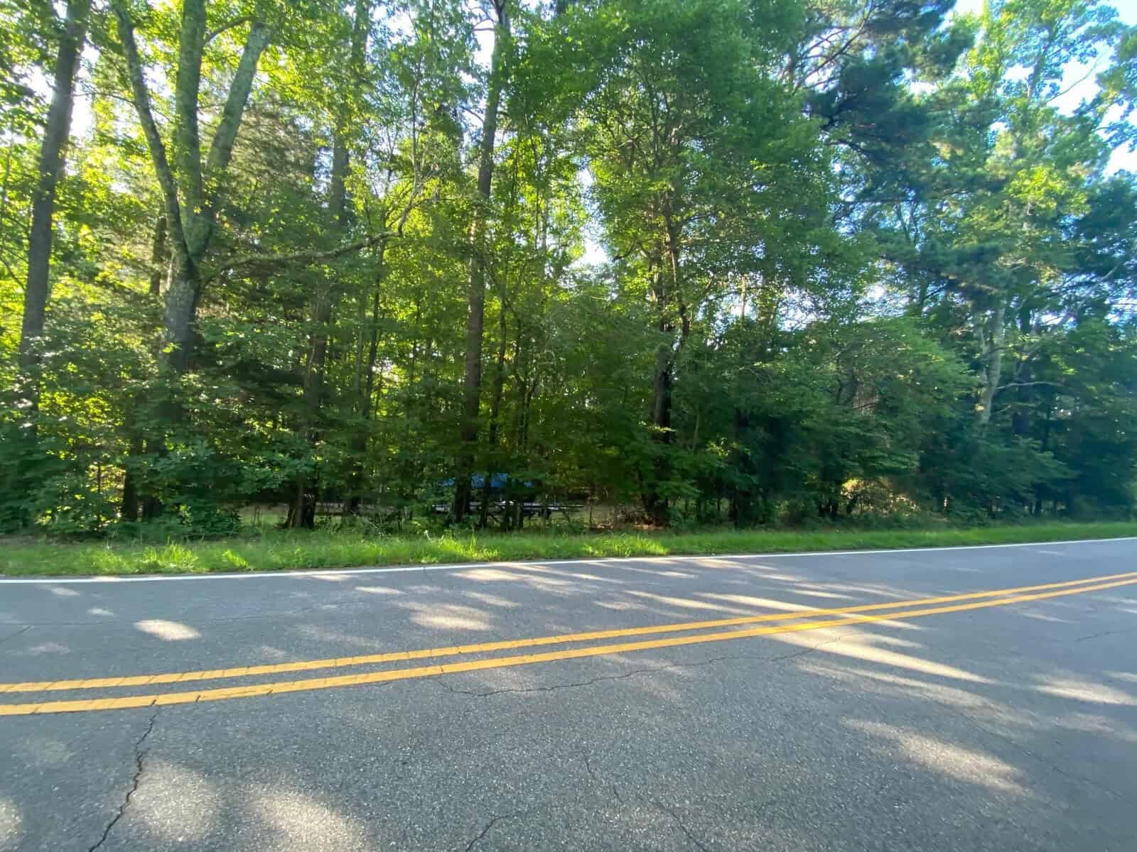 A sunny day on a roadside with a clear view of a paved road bordered by lush green trees.