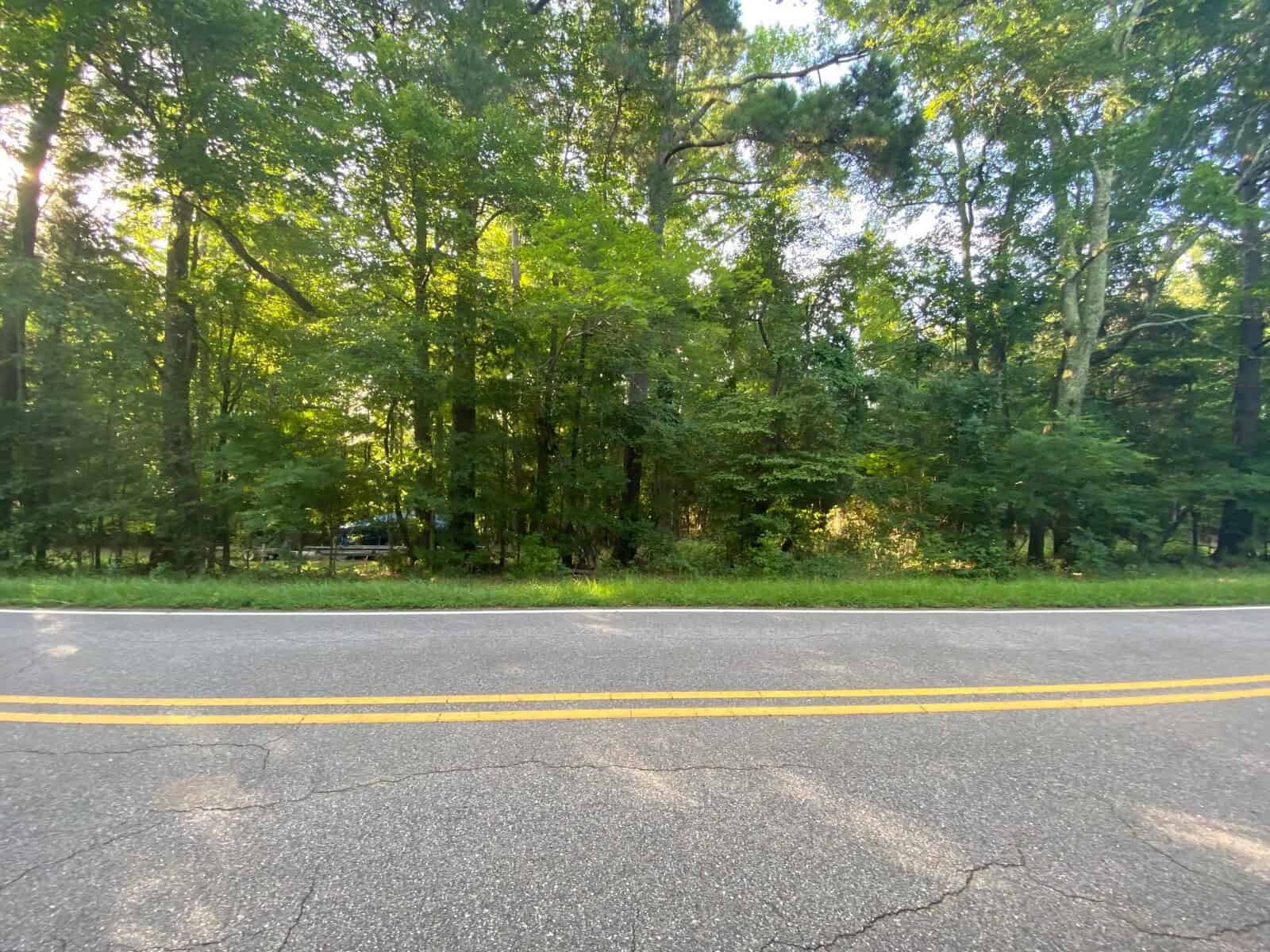 A two-lane road with yellow dividing lines running alongside a dense green forest under a bright, clear sky.