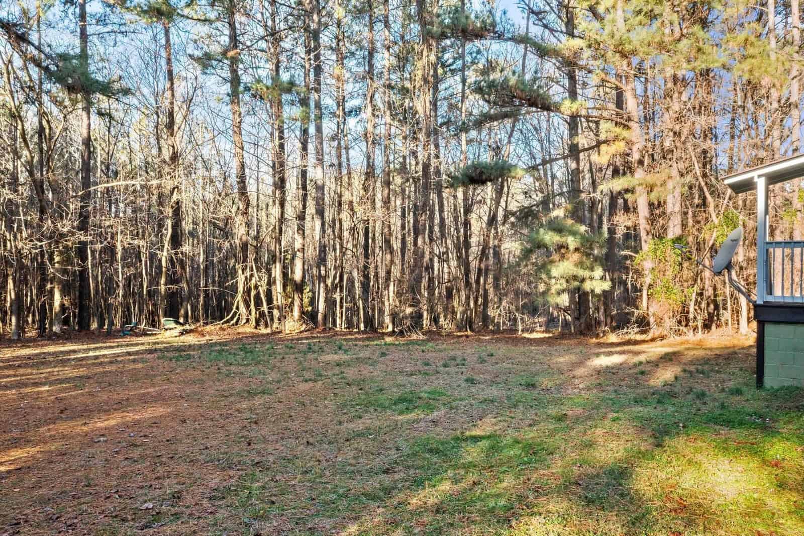 A spacious backyard with a clear, grassy area leading into a dense forest of tall trees, adjacent to the side of a house with a visible portion of a gray exterior and steps. the scene is illuminated by bright sunlight, casting shadows from the trees onto the ground.