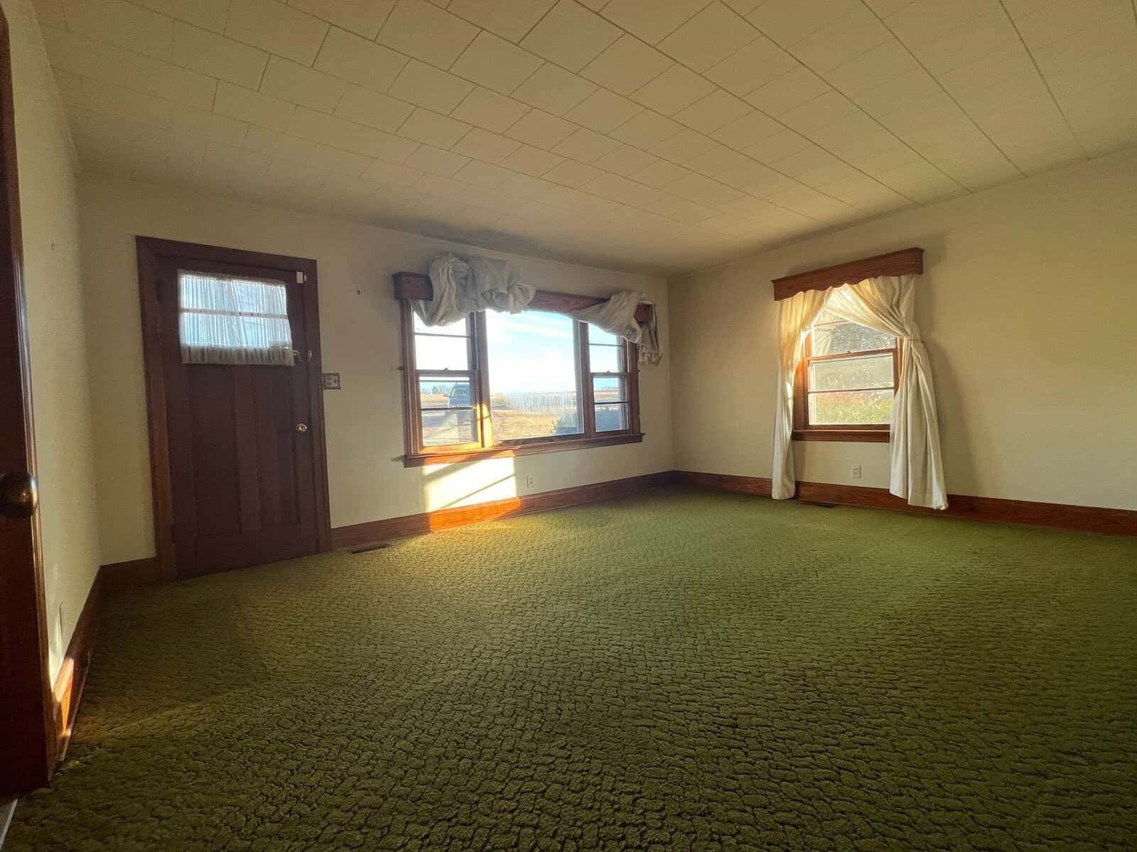 Empty room with green carpet, two windows with draped curtains, and a wooden door, illuminated by natural sunlight.