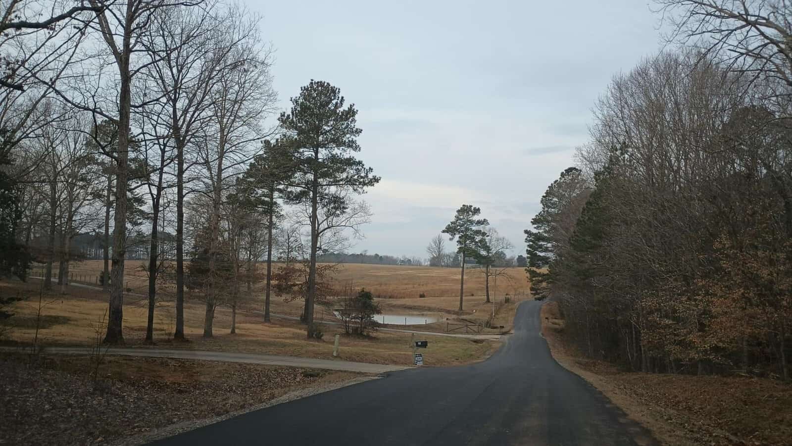 A rural landscape with a paved road winding through leafless trees and fields on both sides. A pond is visible in the distance, surrounded by grassy areas and more trees. The sky is overcast, with diffused sunlight softening the scene.