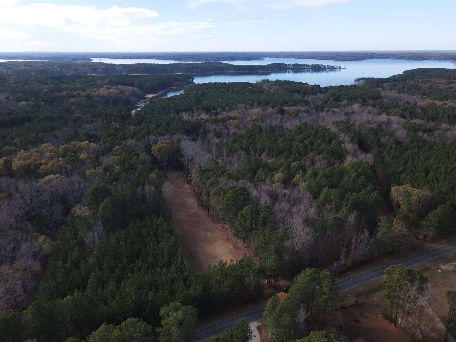 Aerial view of a densely forested landscape with a narrow clearing running through the trees. In the distance, a large body of water is visible under a partly cloudy sky. A road is seen at the bottom of the image.