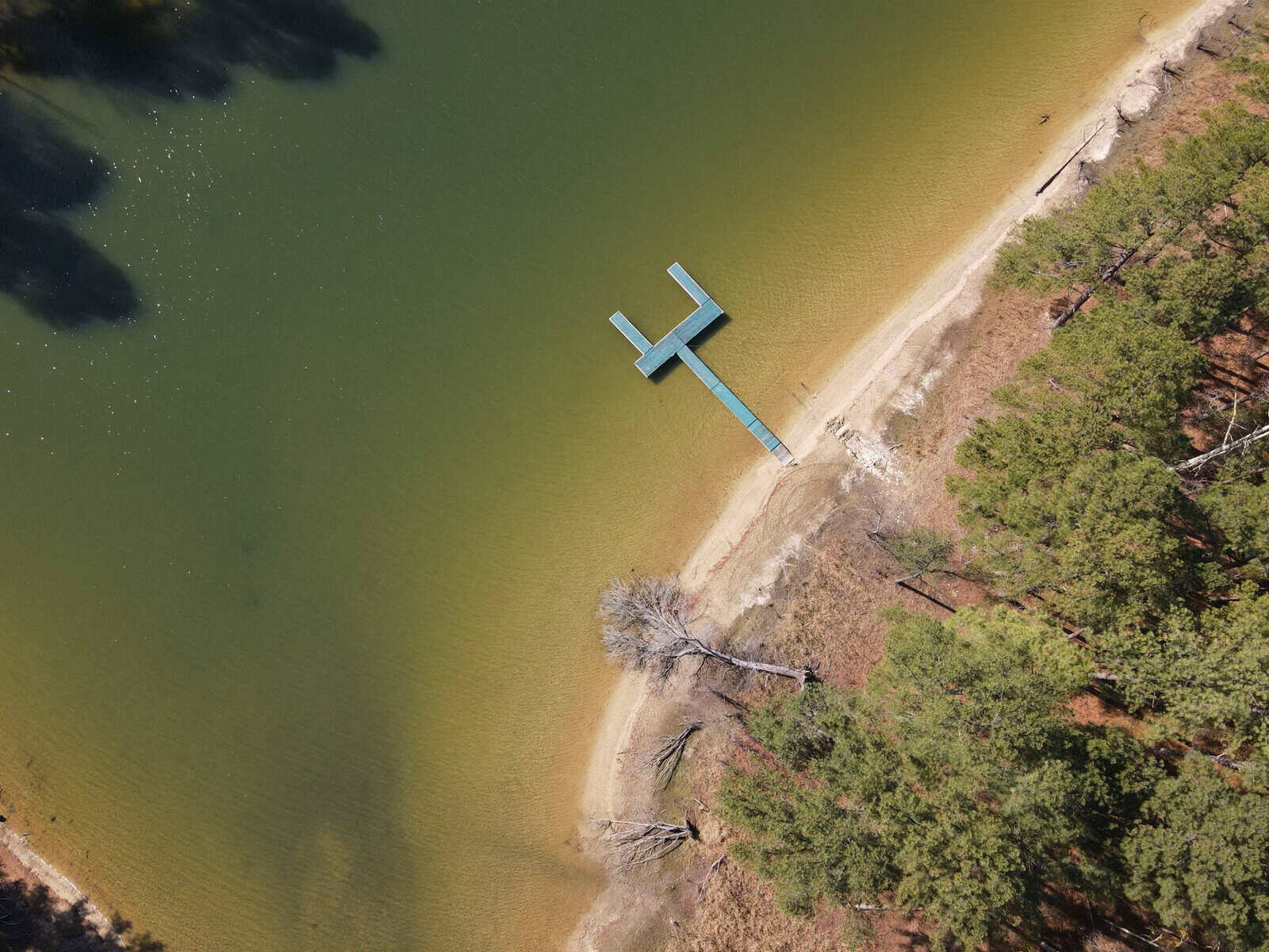 Aerial view of a T-shaped pier extending into a greenish-brown lake from a sandy shoreline. The shore is lined with dense green trees, and the water surface is calm, reflecting some tree shadows.