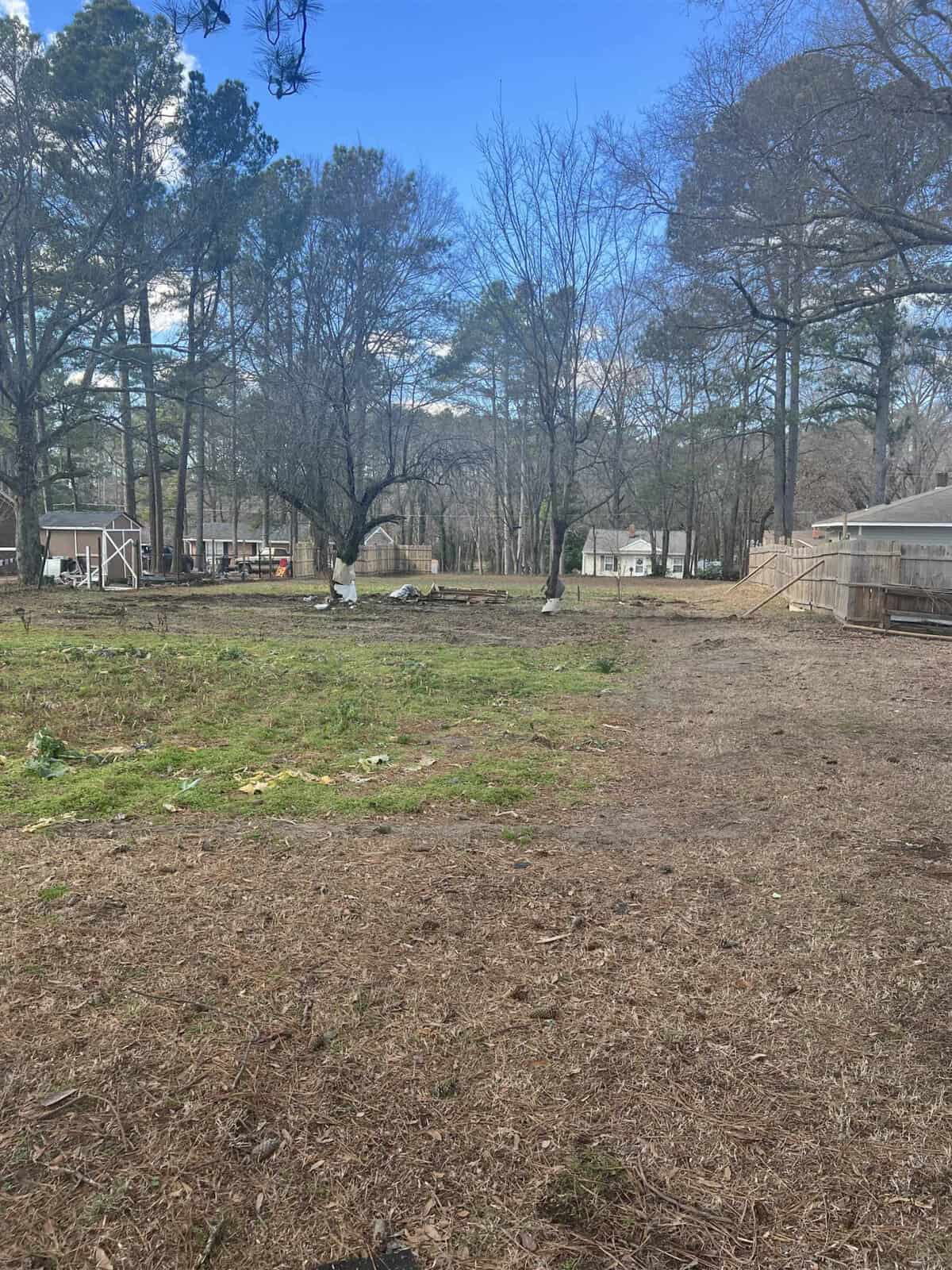 A backyard with bare trees, a grassy area, and a residential structure in the distance on a clear day.